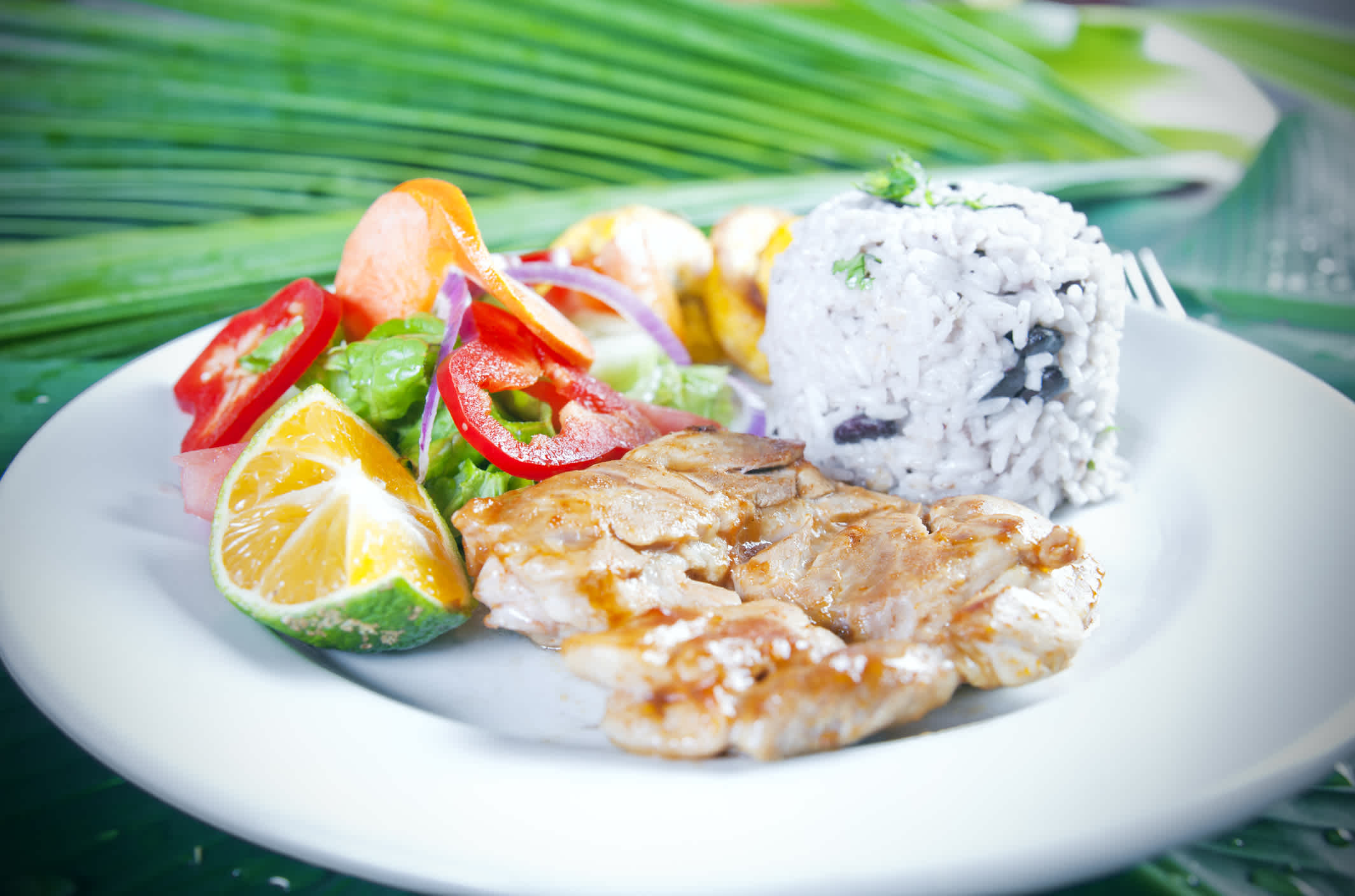 Casado de poisson, repas traditionnel costaricien.

