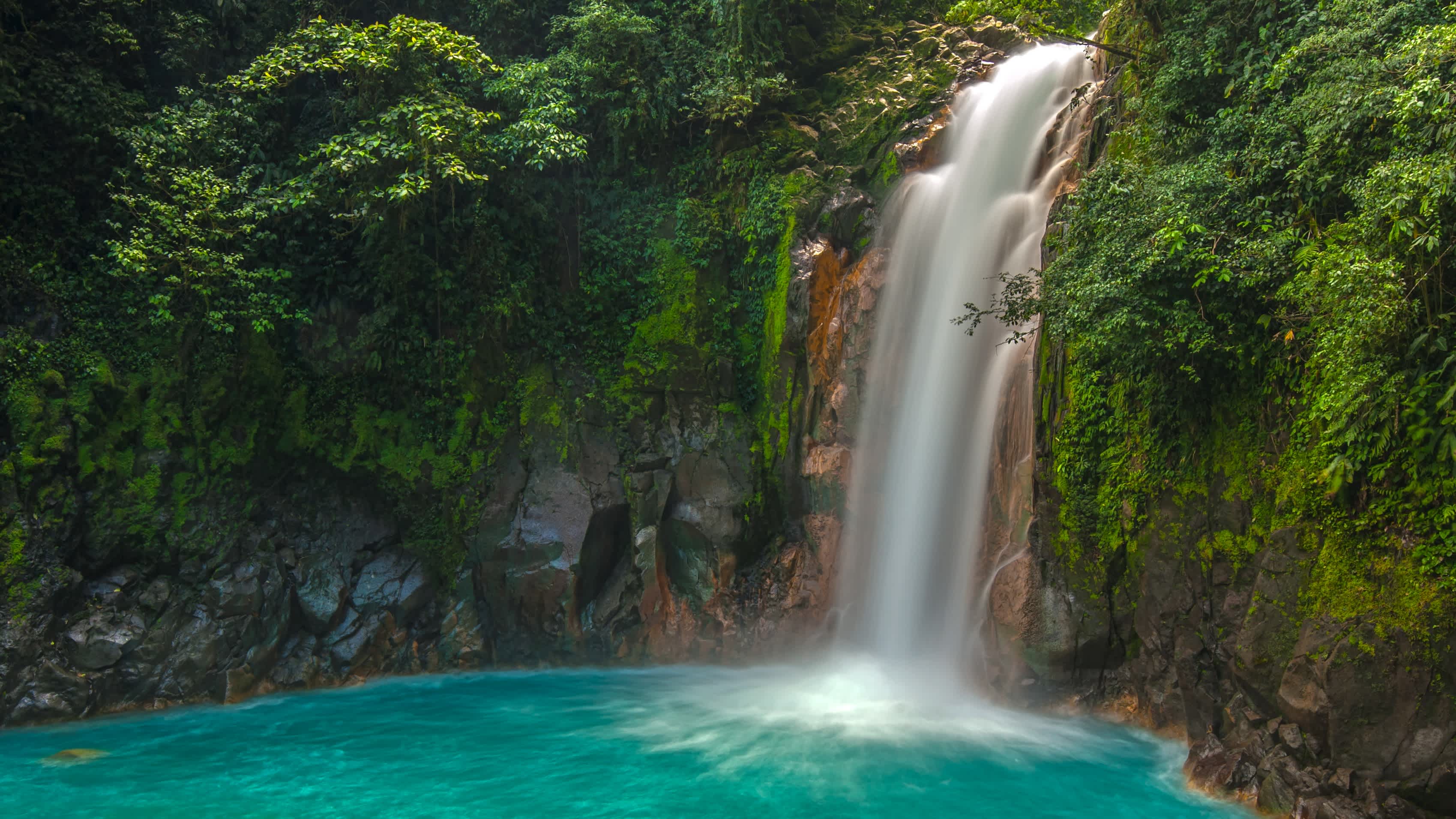 Blick zum Rio Celeste Wasserfall im Tenorio Nationalpark, Costa Rica

