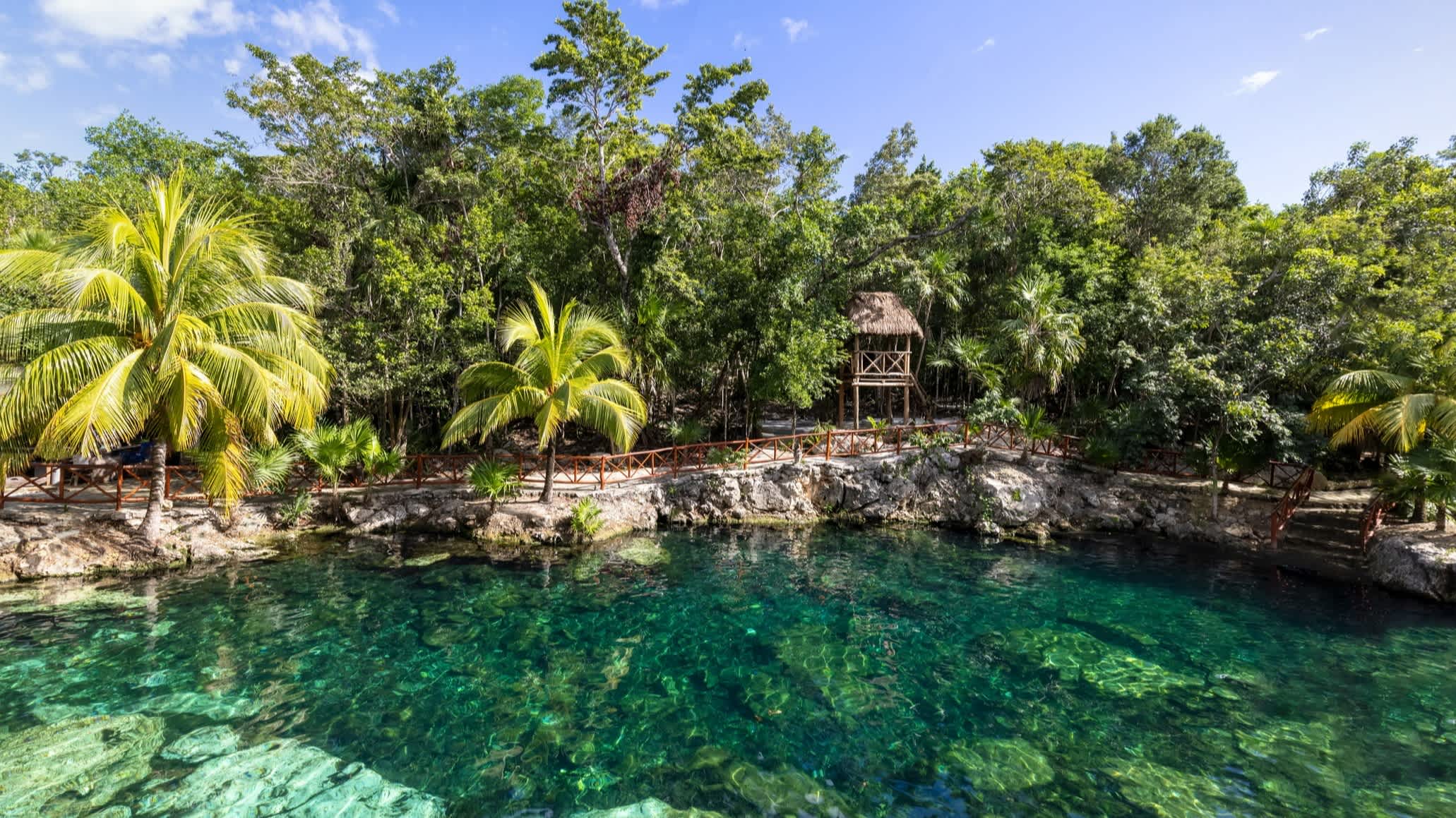 Cenote in der Nähe von Tulum, Mexiko.