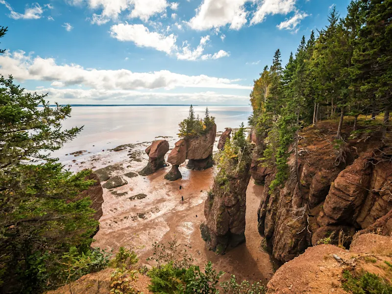 Bay of Fundy, New Brunswick Beeindruckende Gezeiten und dramatische Küstenlandschaften in der Bay of Fundy, Kanada