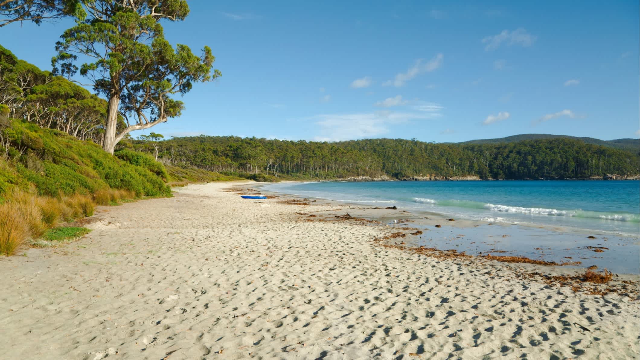 Plage de White Beach en Tasmanie