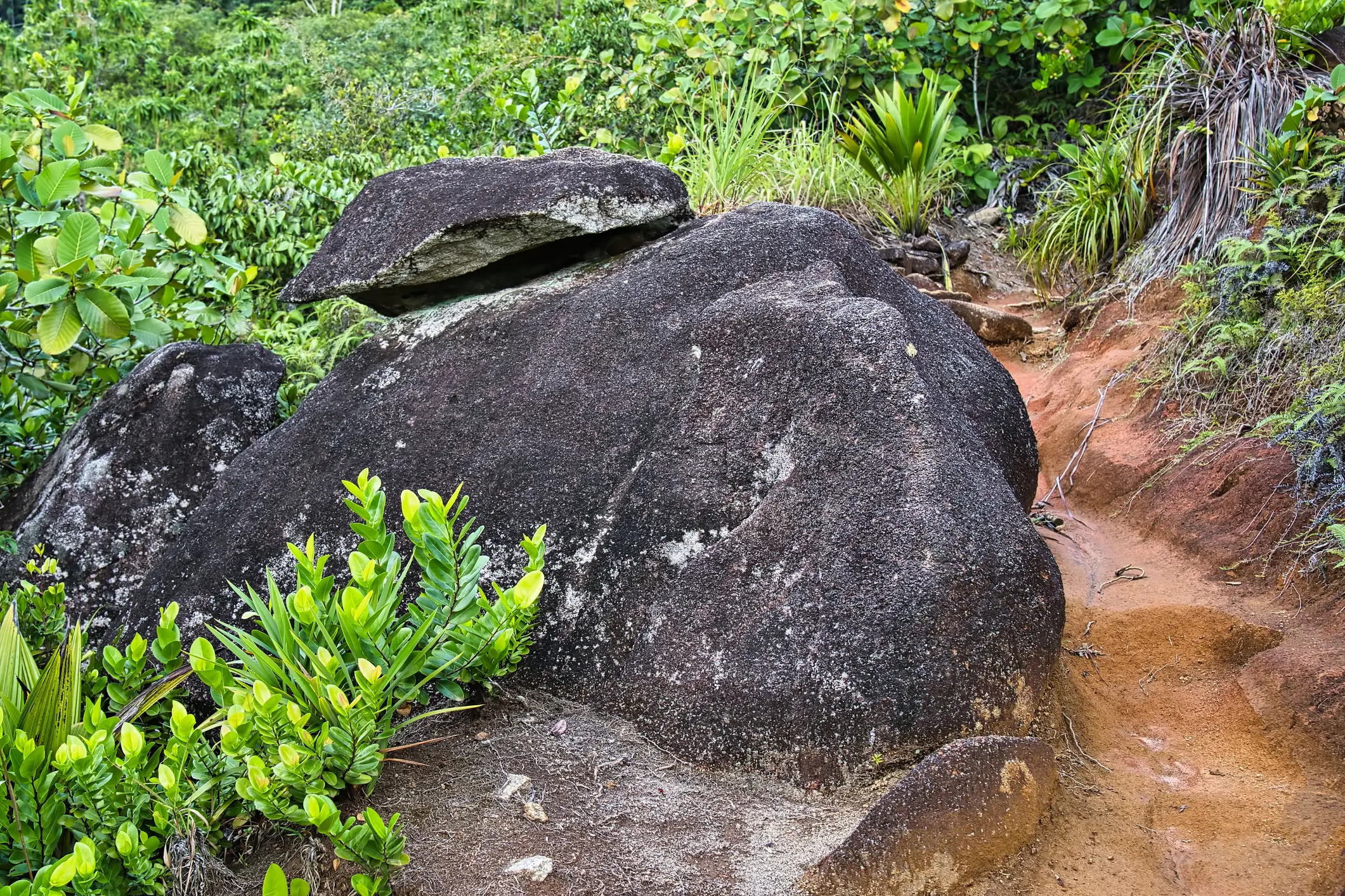Seychellen Ein Pfad mit Granitfelsen auf den Seychellen.