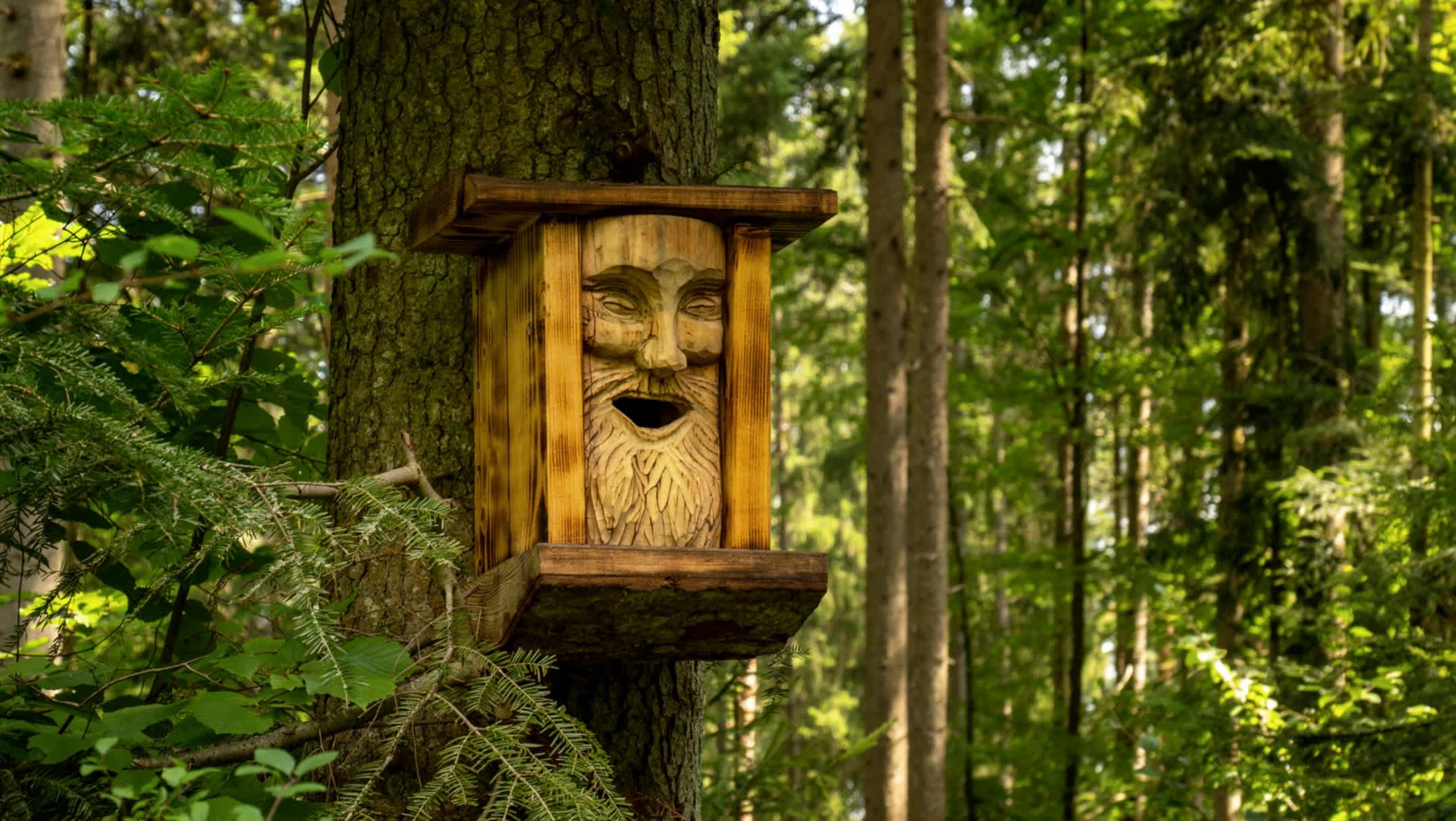 Nistkasten auf einem Baumstamm im Wald, gestaltet mit einem geschnitzten Gesicht