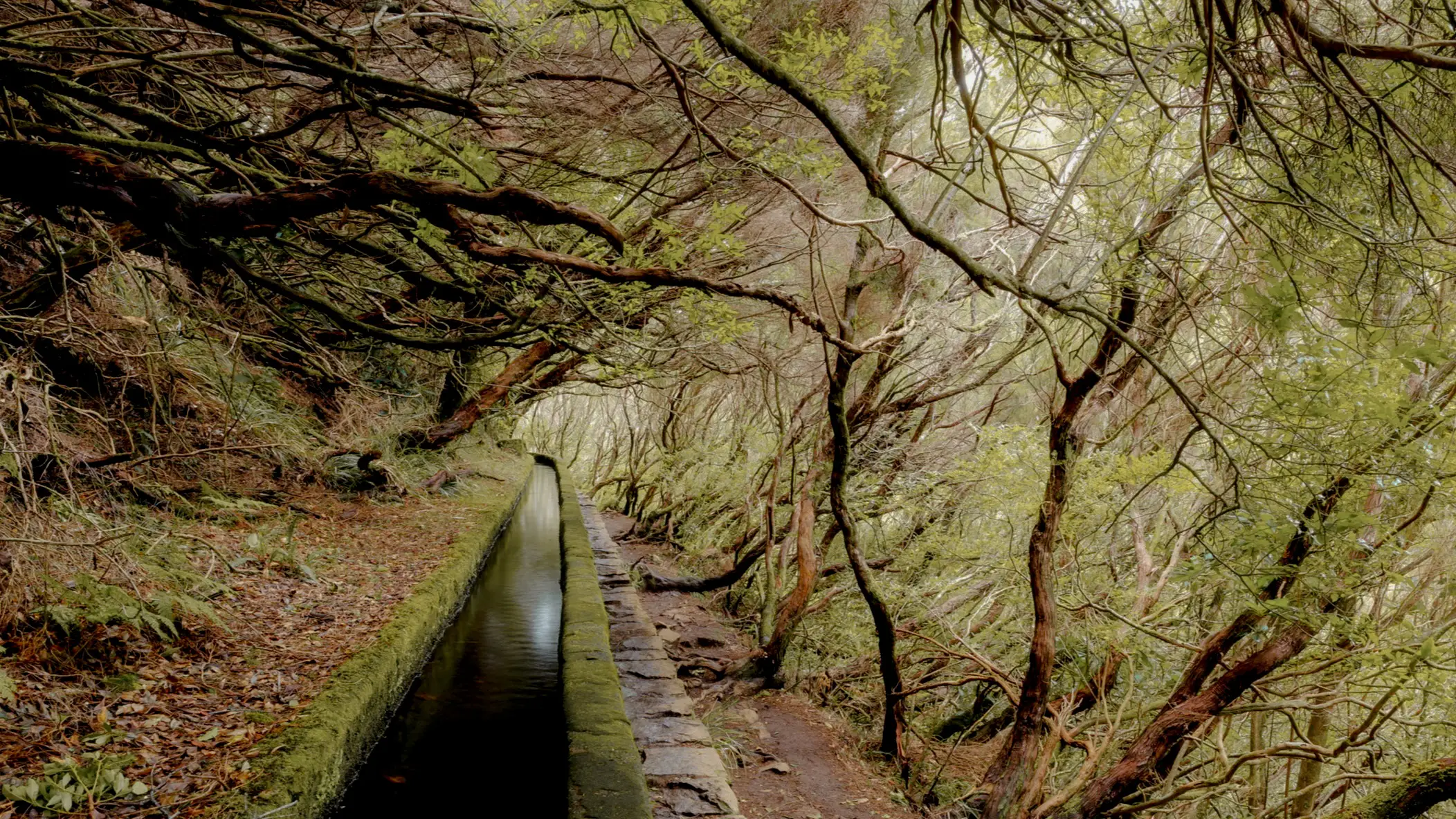 Portugal, Madeira A hiking trail along the levada on Madeira, Portugal