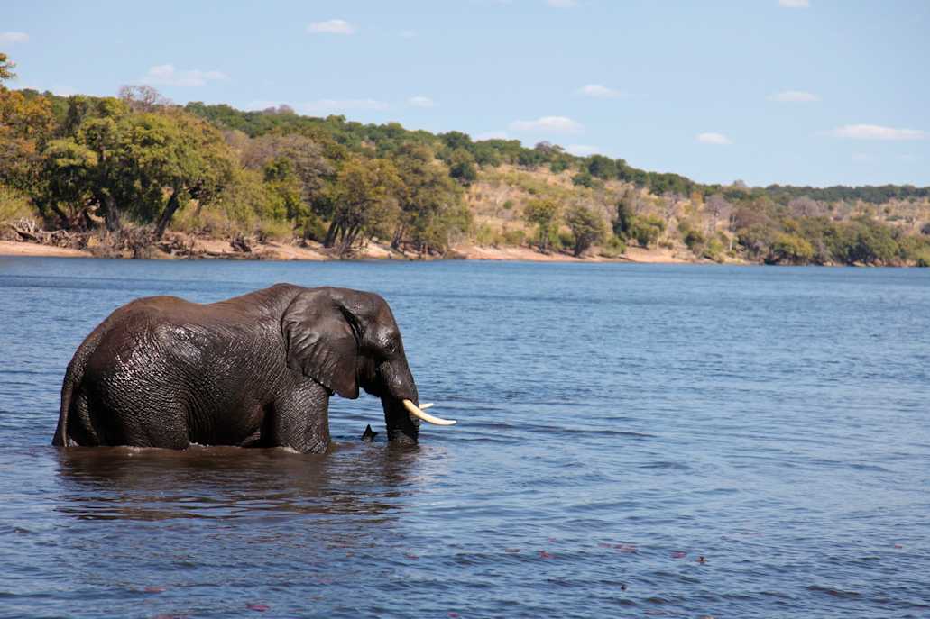 Chobe Fm Was kann man in Botswana machen? 10 besondere Aktivitäten | Tourlane