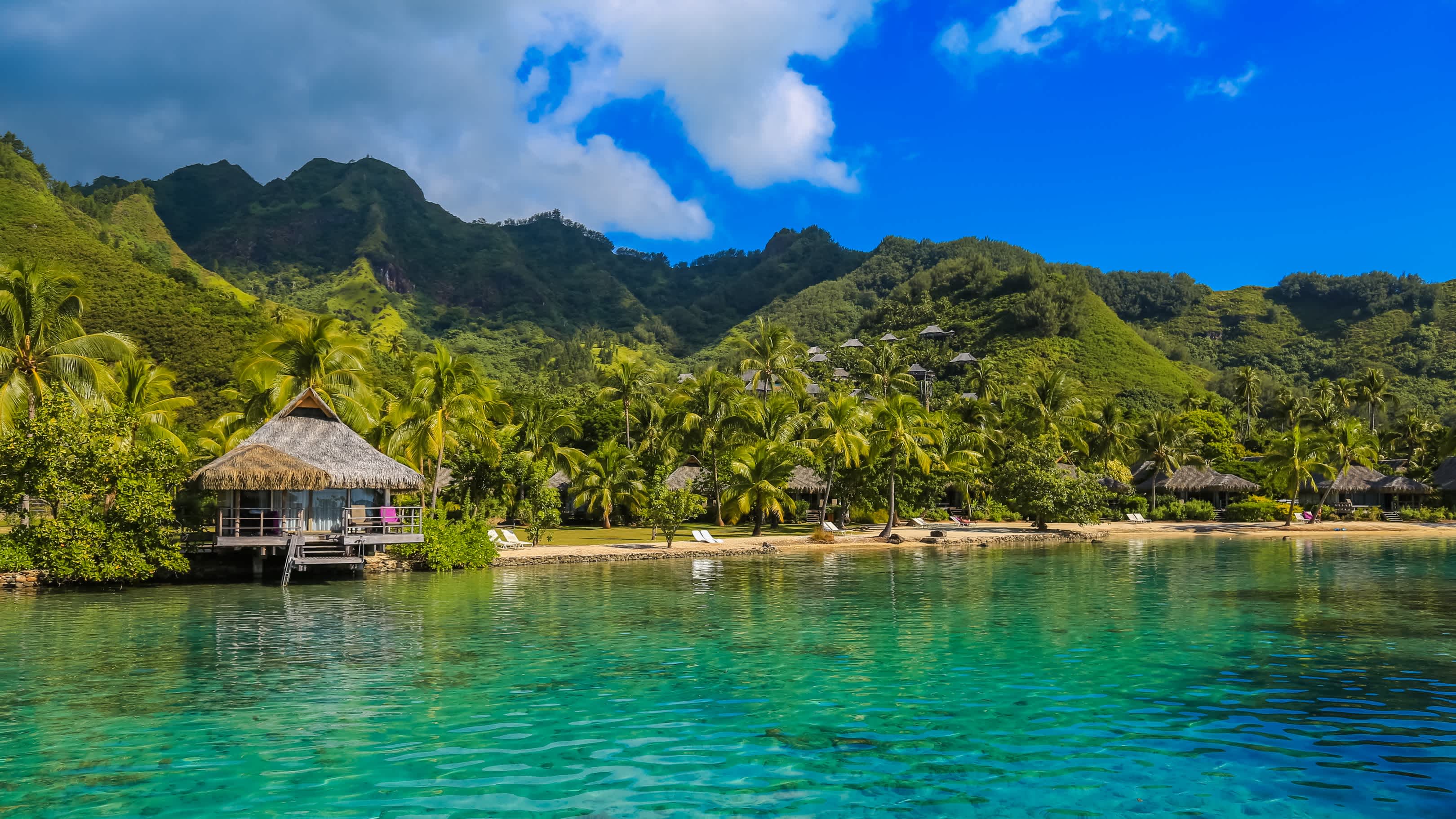 Blick zu türkisfarbenen Lagune und Bergen auf Insel Moorea in Französisch-Polynesien.

