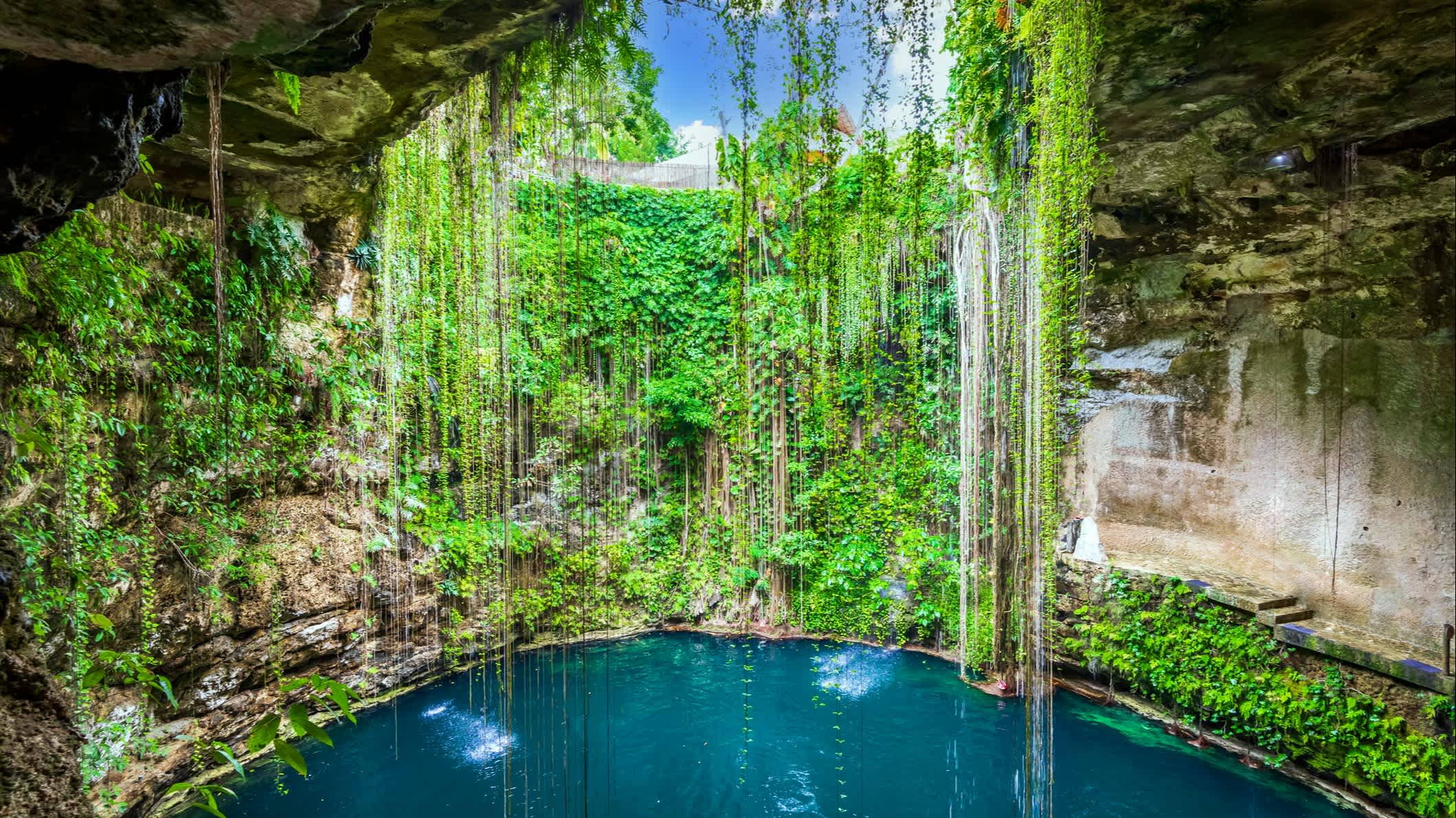 Vue d'une cénote à l'eau bleue et végétation luxuriante, au Yucatán, au Mexique.