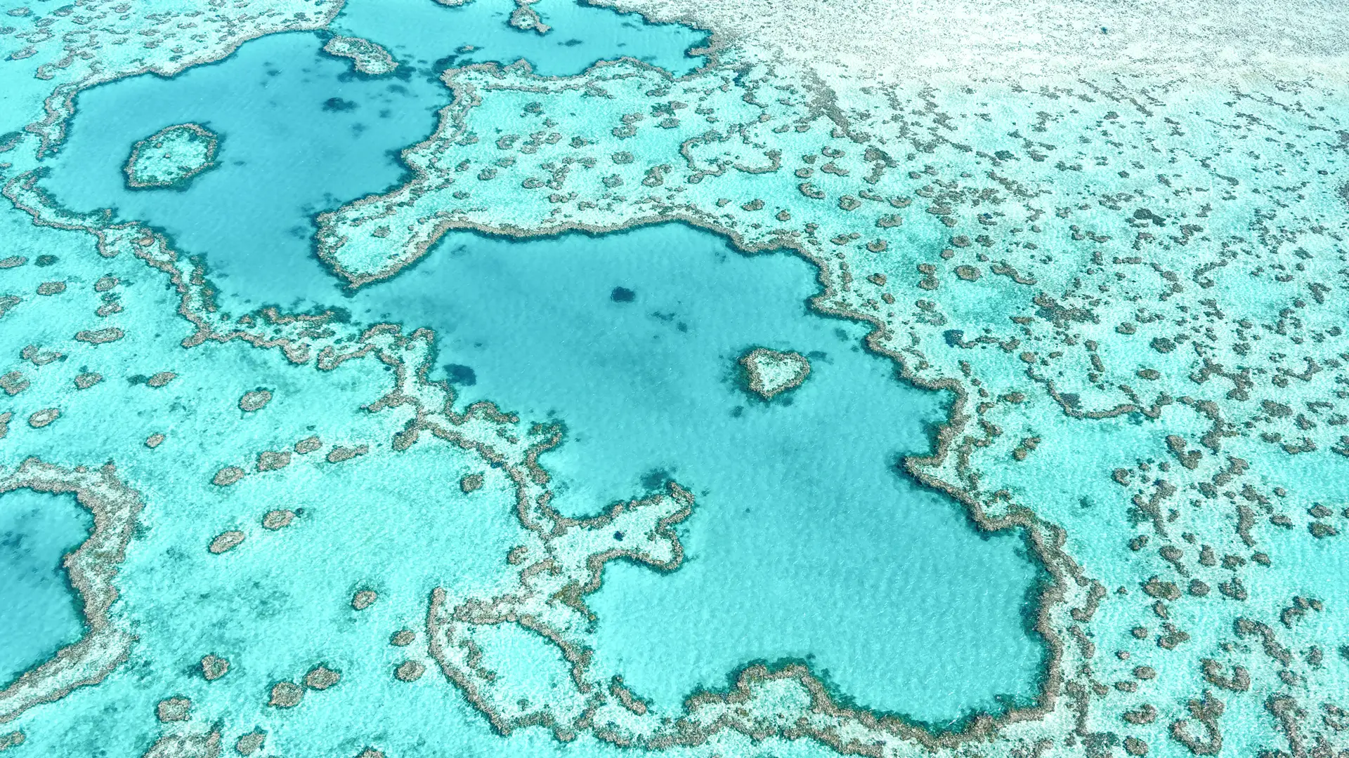 Vue aérienne de la Grande Barrière de Corail à Whitsunday es Queensland Australia, célèbre récif du cœur d'amour.

