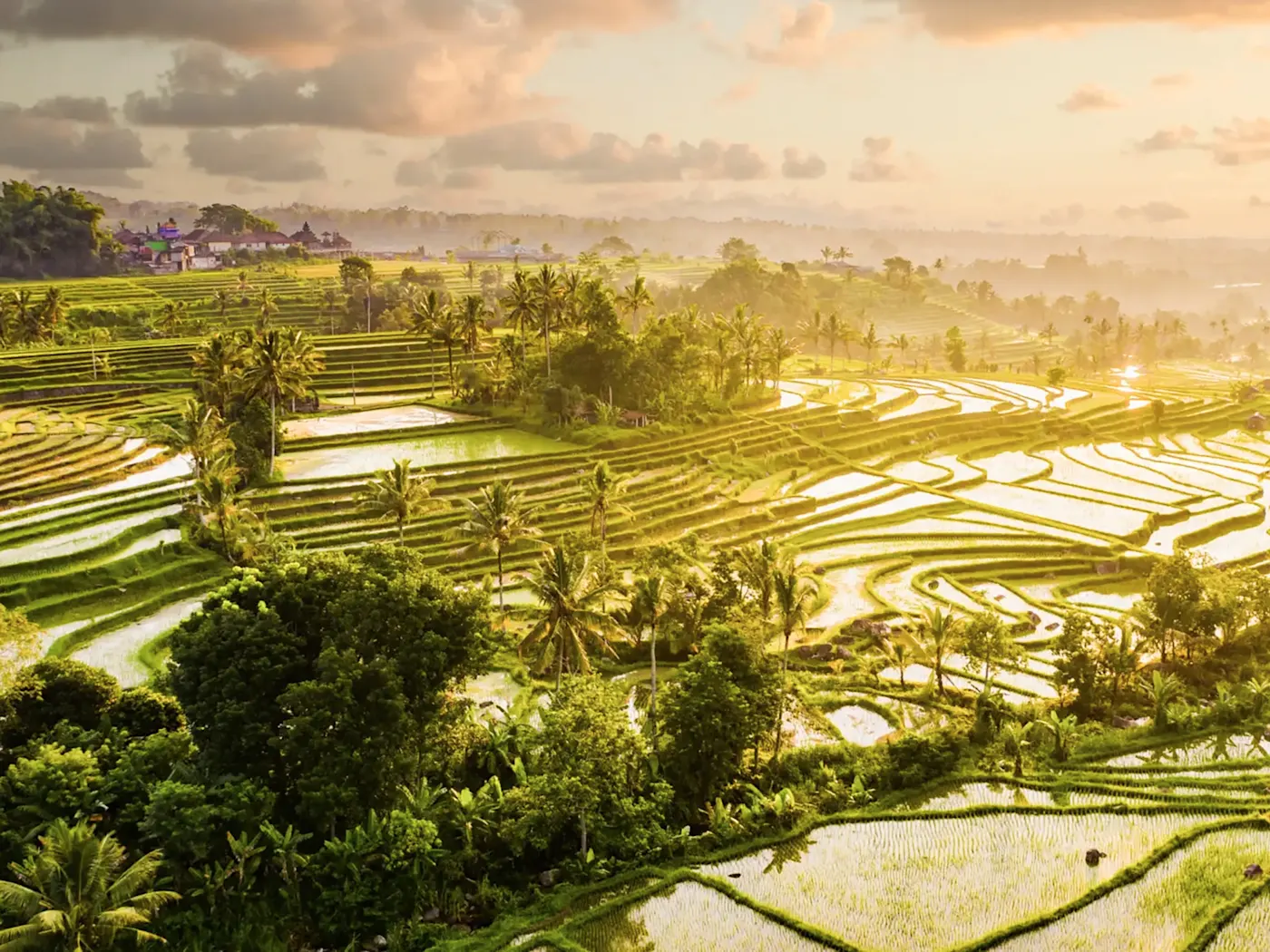 Indonesien, Bali, Jatiluwih Wunderschöne Reisterrassen im goldenen Licht des Sonnenuntergangs. Jatiluwih, Bali, Indonesien.