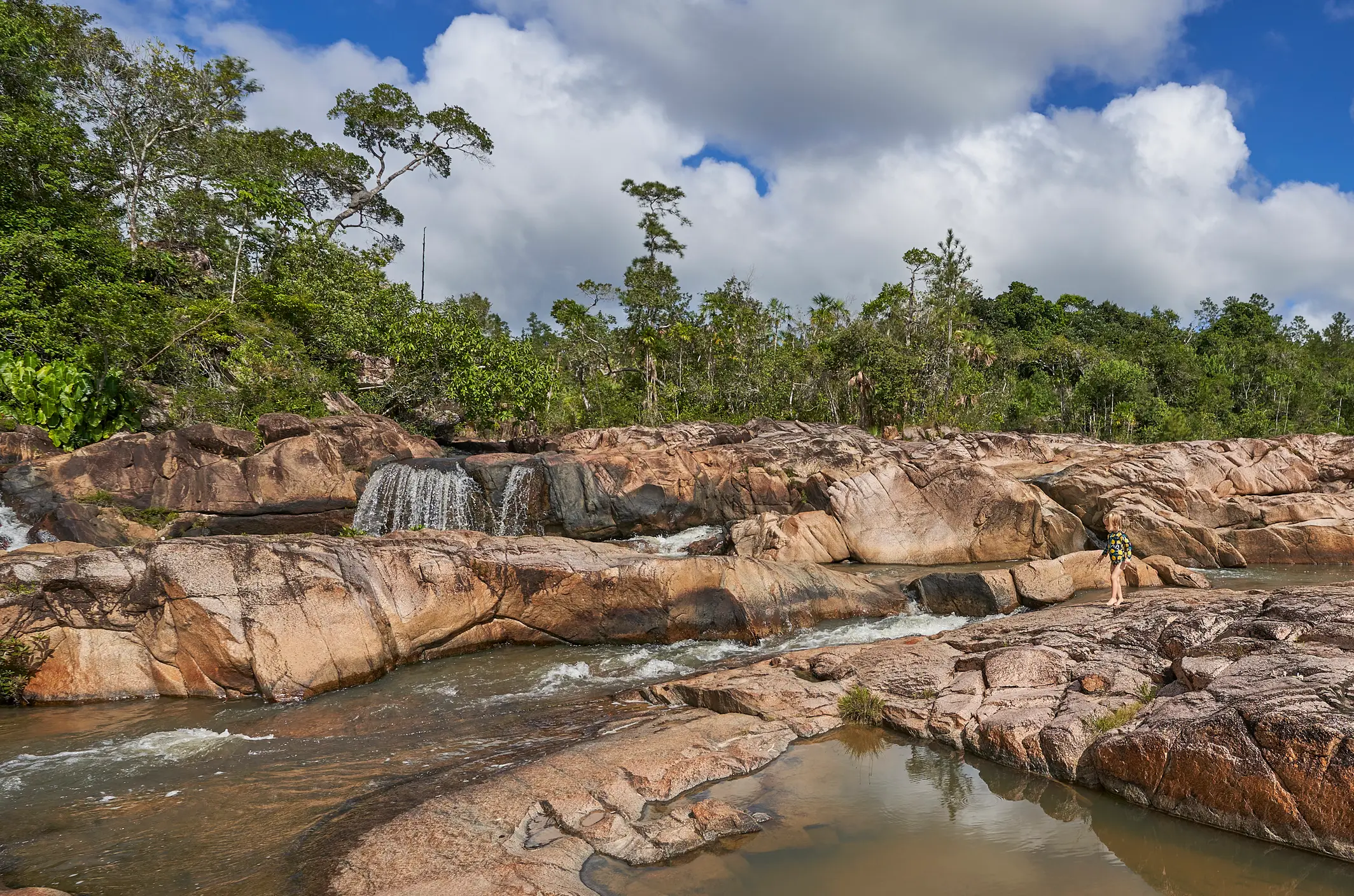 Belize, Mountain Pine Ridge Waldreservat