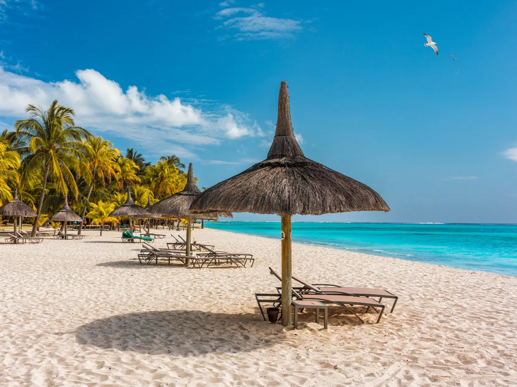Palmen am tropischen Strand von Le Morne, Mauritius. 