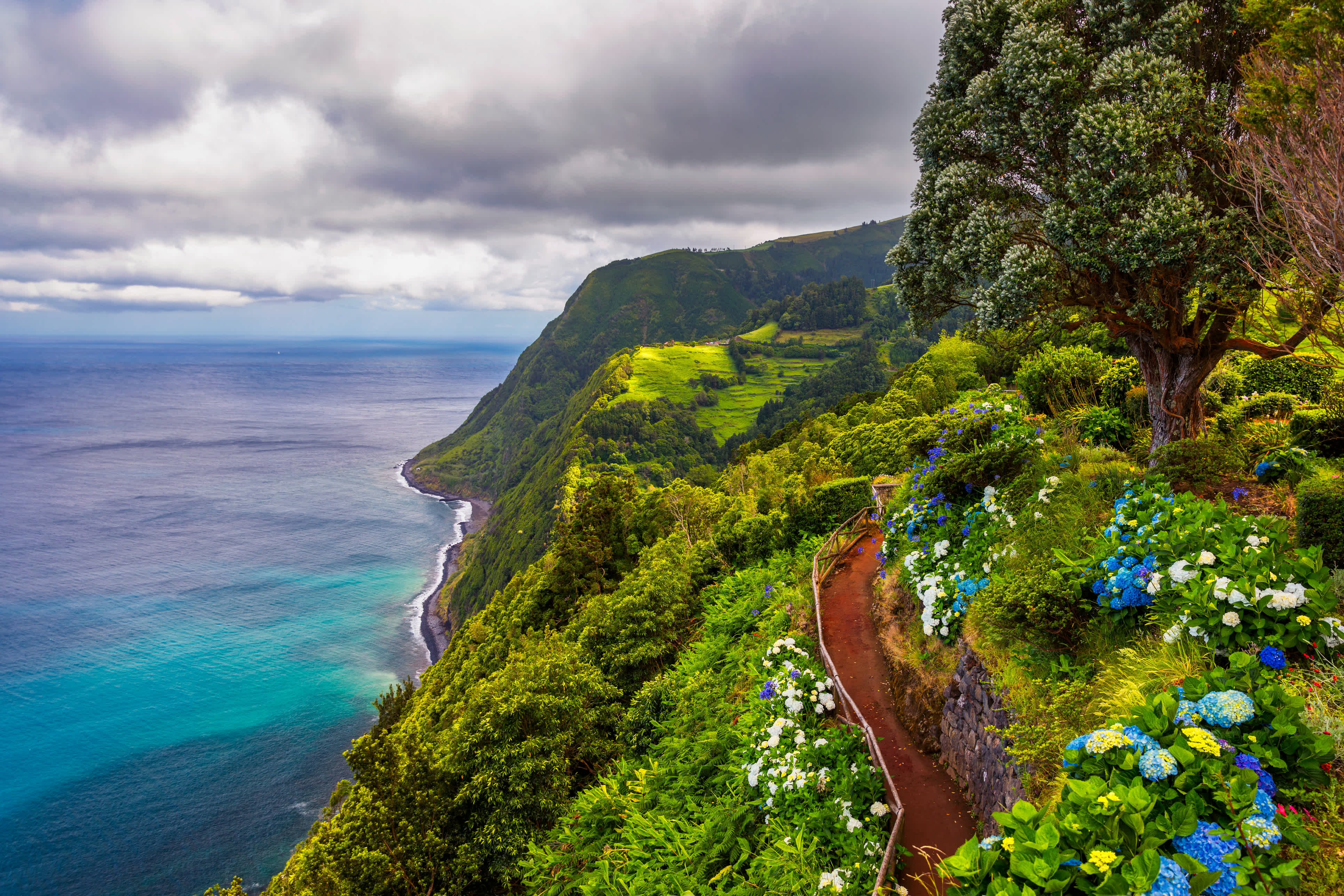 Vue sur les fleurs, une montagne et la mer au mirador de Ponta do Sossego, île de Sao Miguel, Açores, Portugal.