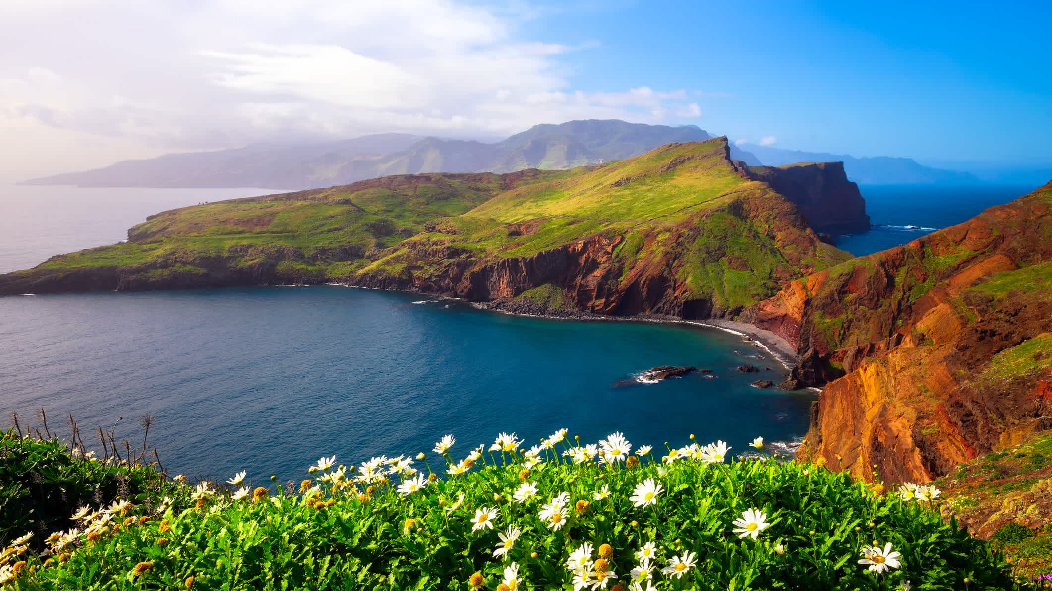 Péninsule de Ponta de Sao Lourenco avec de belles fleurs au premier plan sur les îles de Madère, Portugal.

