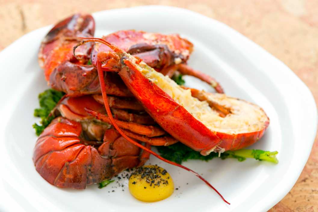 Essen In Australien Top 10 Australische Gerichte essen-in-australien-top-10-australische-gerichte