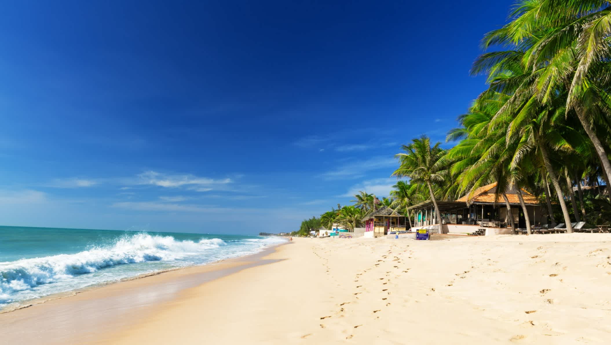 Installations sous les palmiers le long du sable blanc sur la plage de Mui Ne, Vietnam