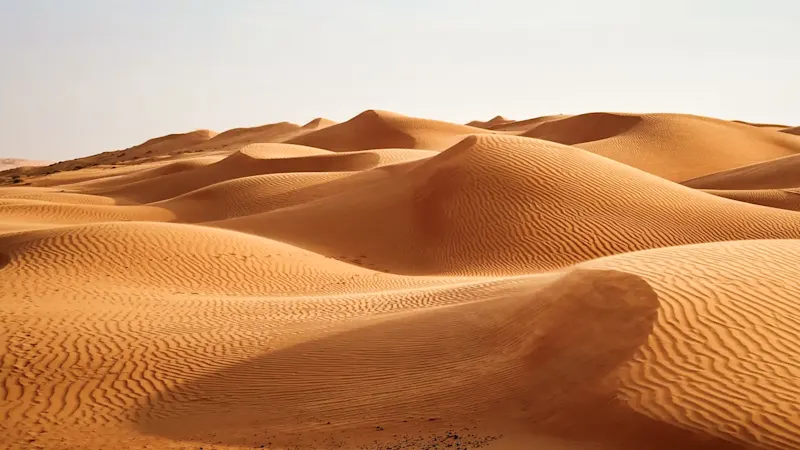 Oman, désert de Wahiba Sands Des dunes de sable doré à perte de vue dans le désert de Wahiba Sands. Oman.