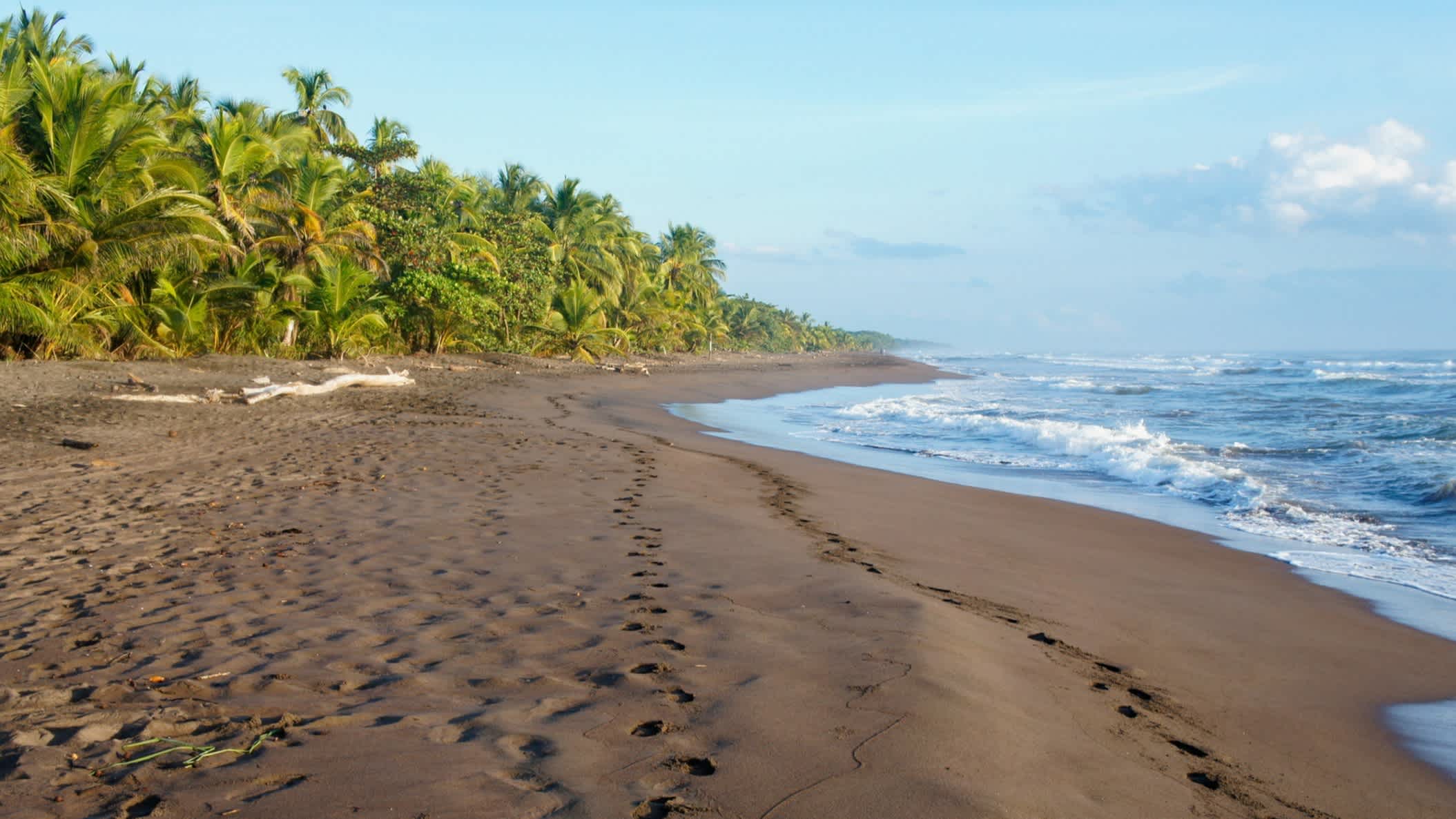 Blick zum Tortuguero Strand bei Sonnenaufgang, Costa Rica.