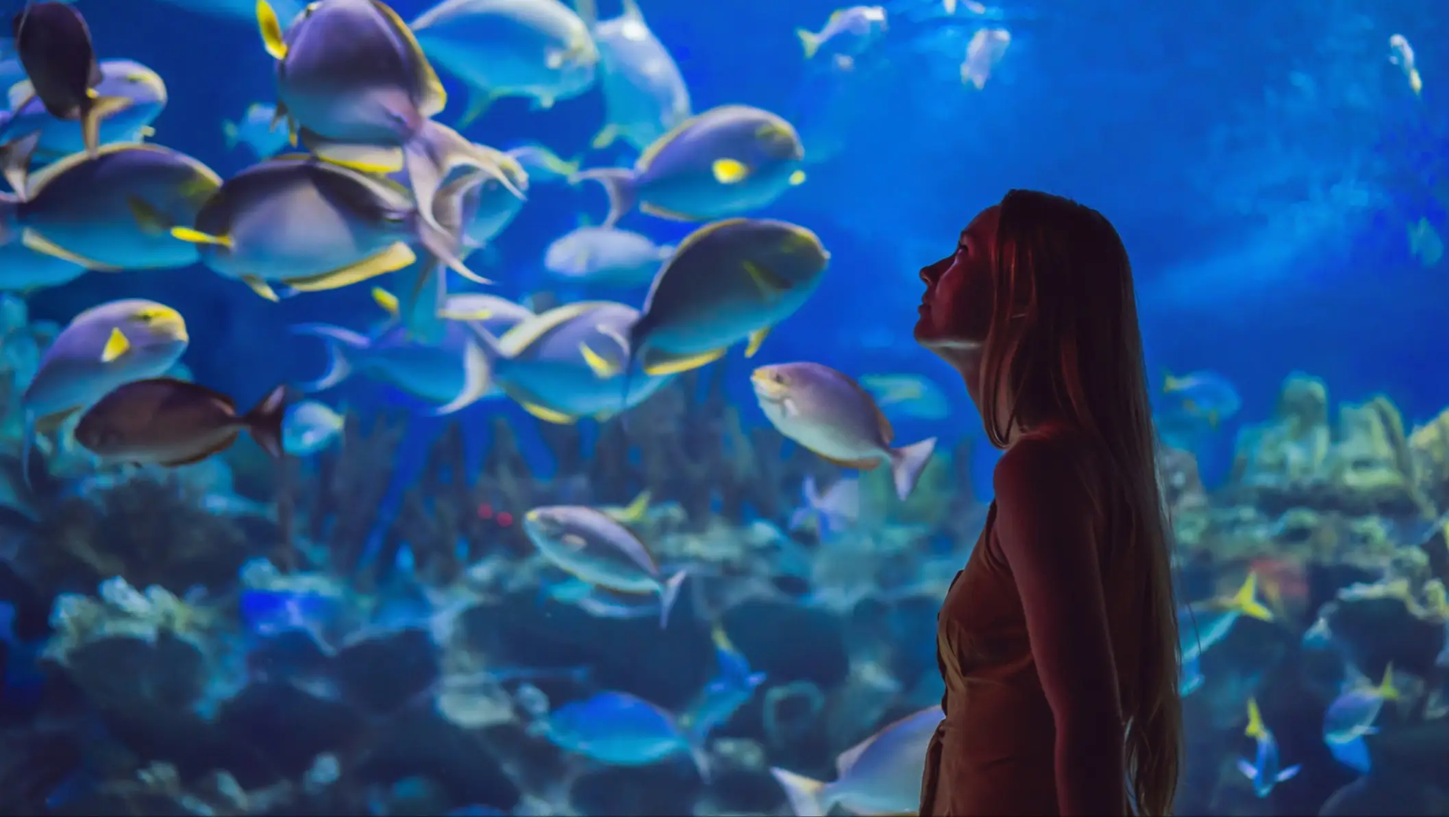 Jeune femme devant des poissons dans un aquarium, au CretAquarium de Crète, en Grèce