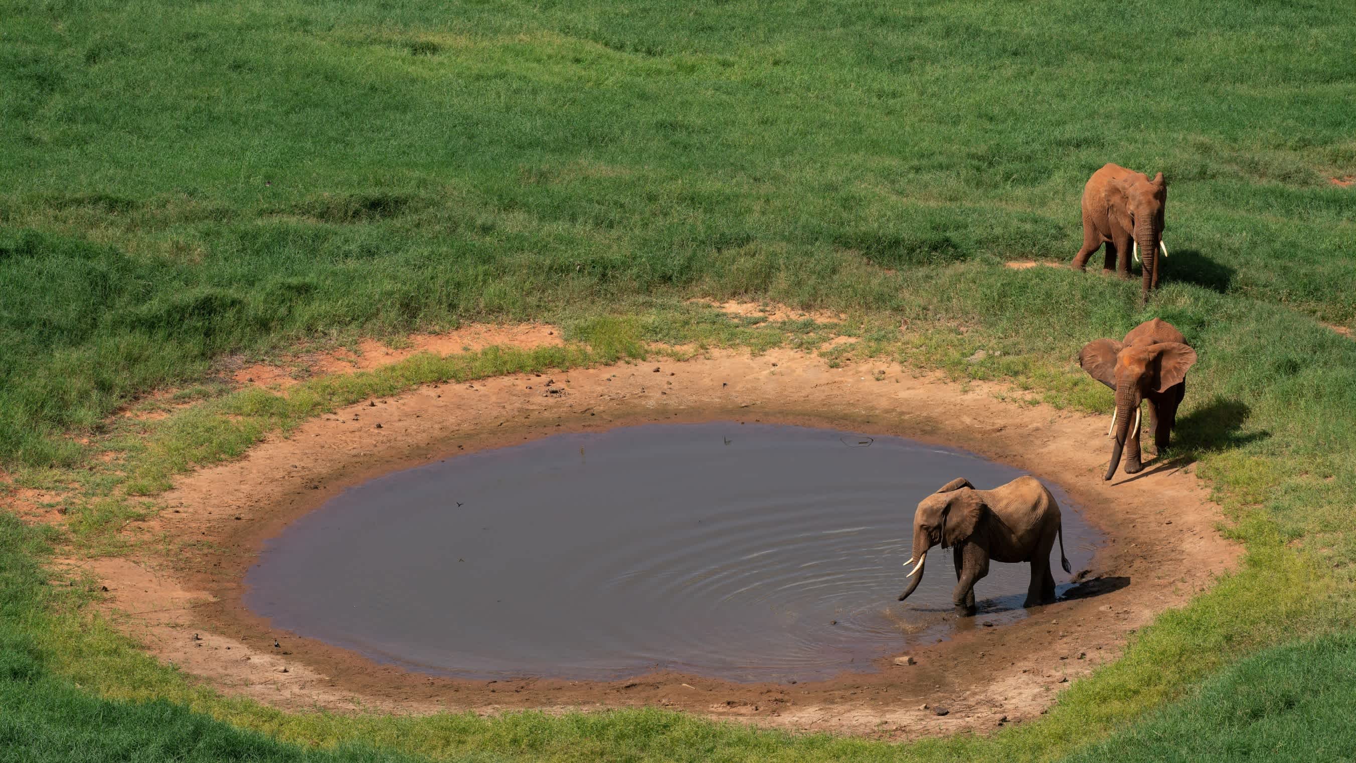 Vue aérienne d'un point d'eau avec trois éléphants. Le point d'eau se trouve dans le parc national de Tsavo East au Kenya