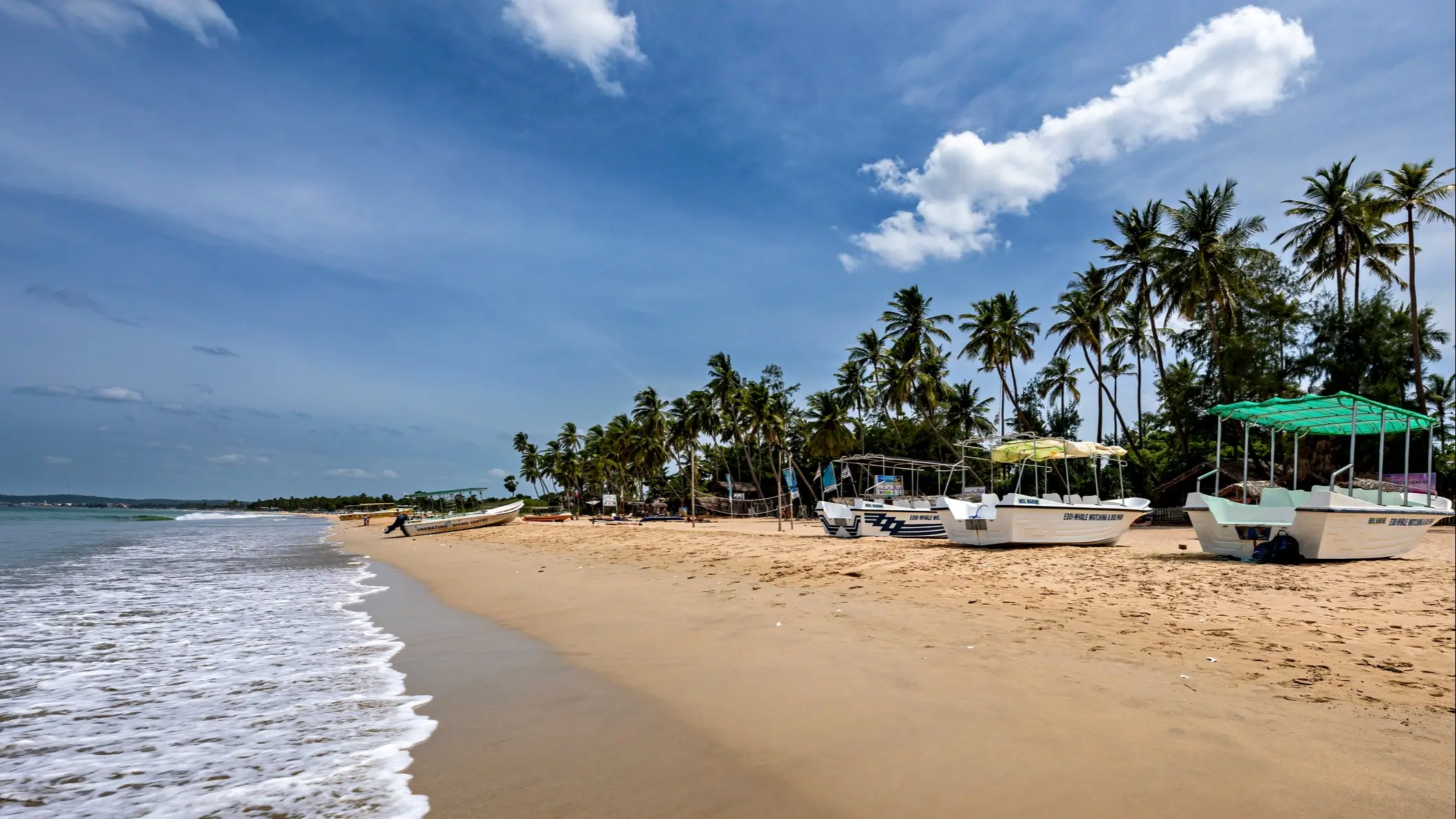 Sri Lanka Trincomalee Beach Meer und Palmen am Trincomalee Strand in Sri Lanka