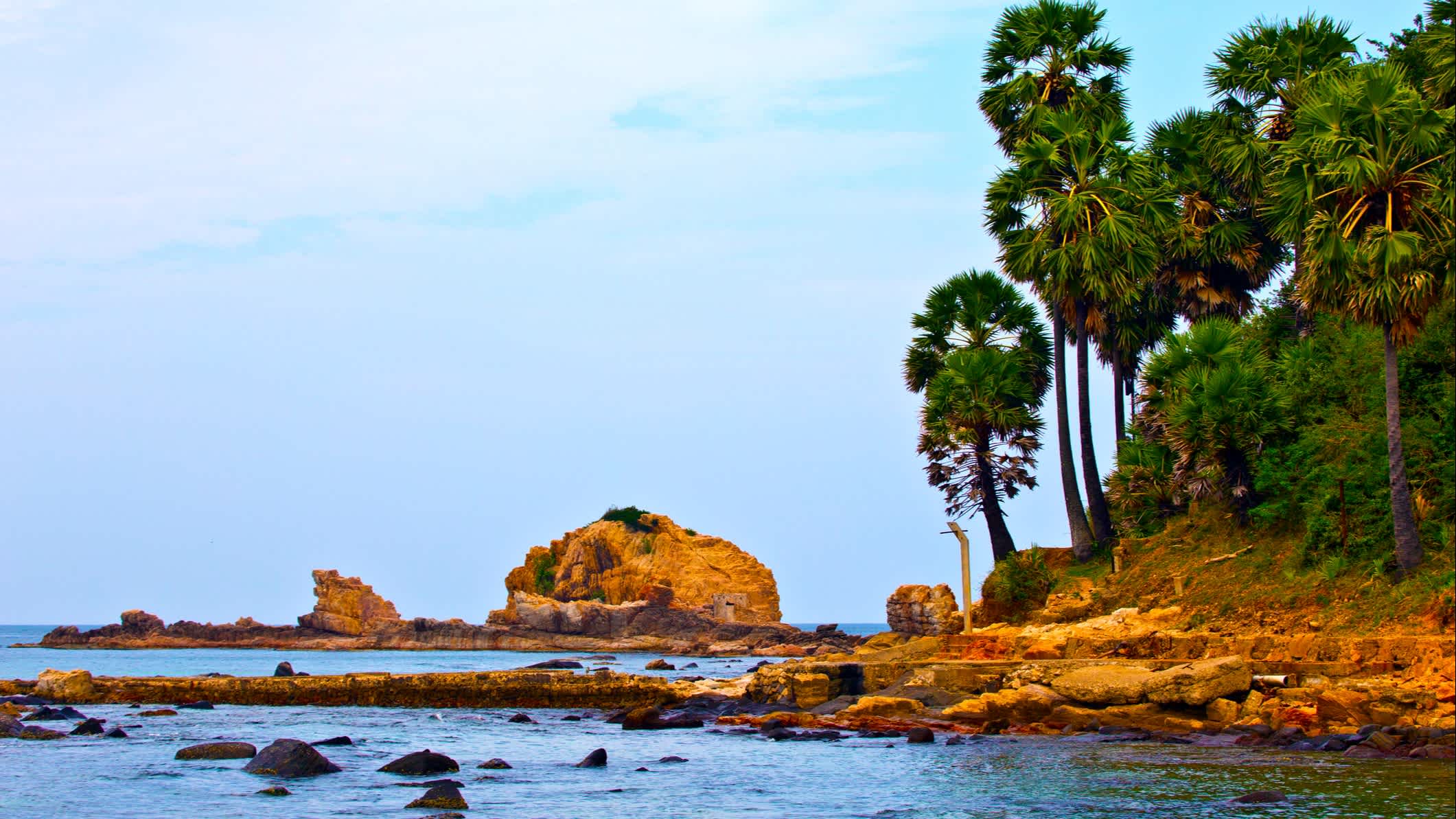 Mer et palmiers sur la plage de Trincomalee au Sri Lanka
