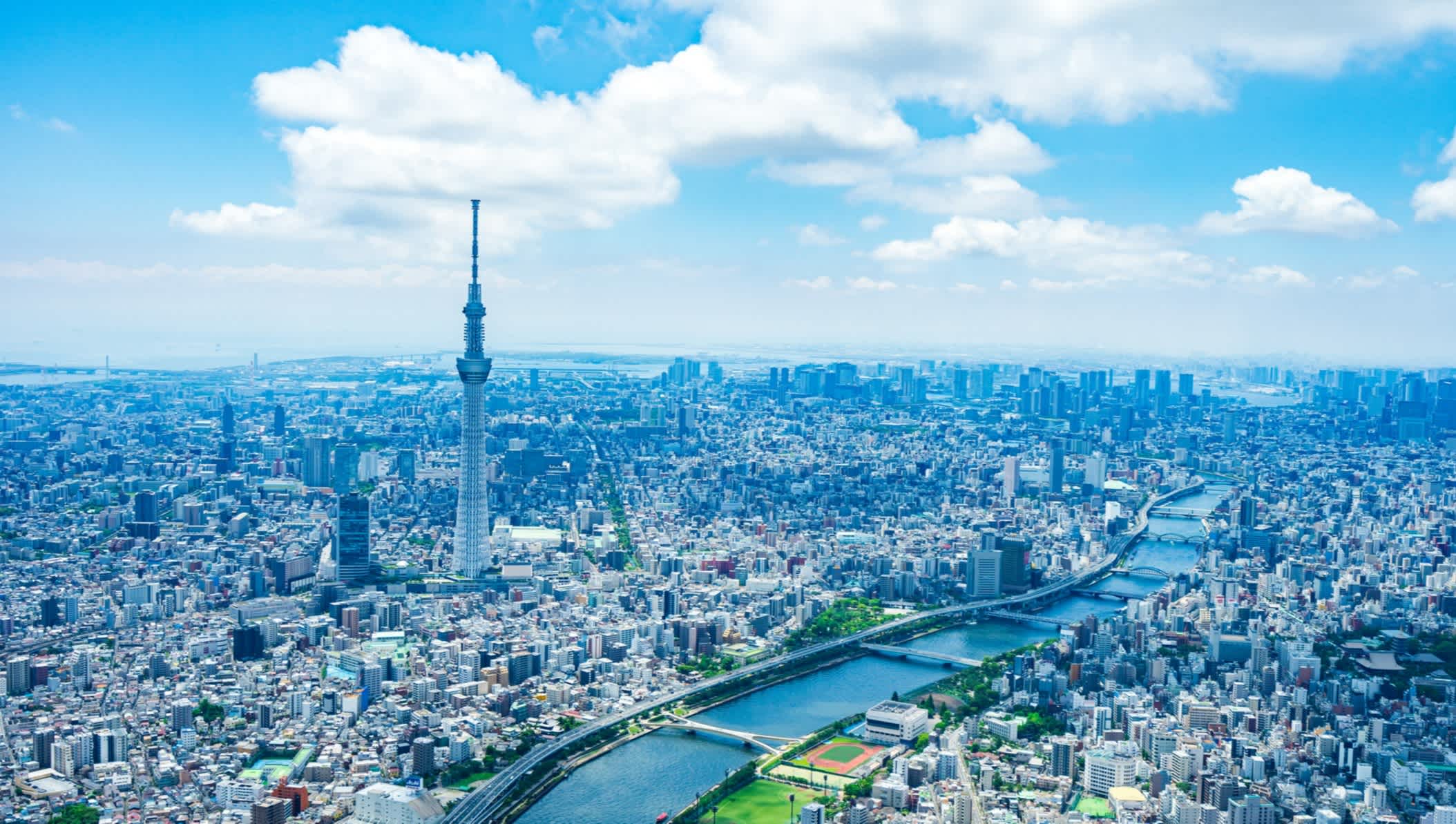 Luftaufnahme von Tokio mit Blick auf auf den Tokyo Skytree
