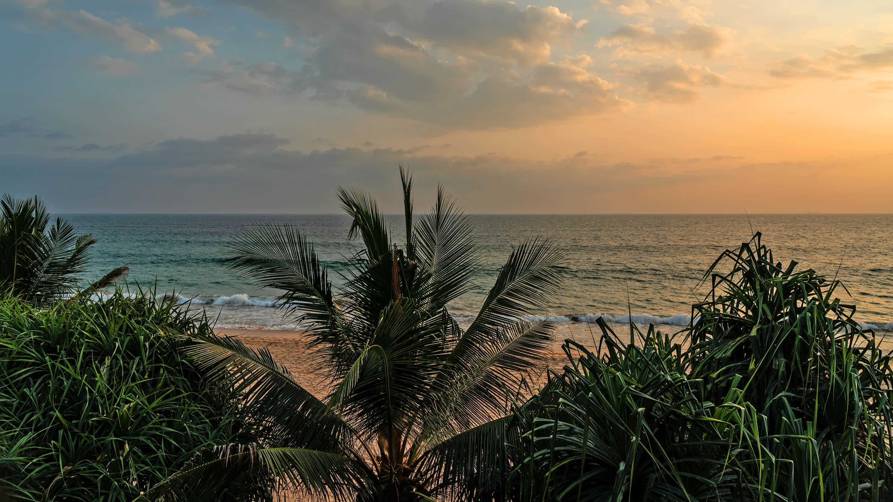 Vue sur le coucher de soleil sur la plage de Koggala au Sri Lanka derrière la végétation