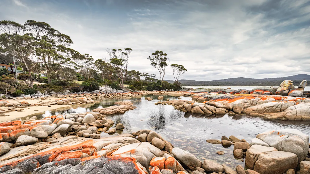 Felsen mit oranger Flechte, Bäume und Wasser unter grauem Himmel. Tasmanien, Australien.