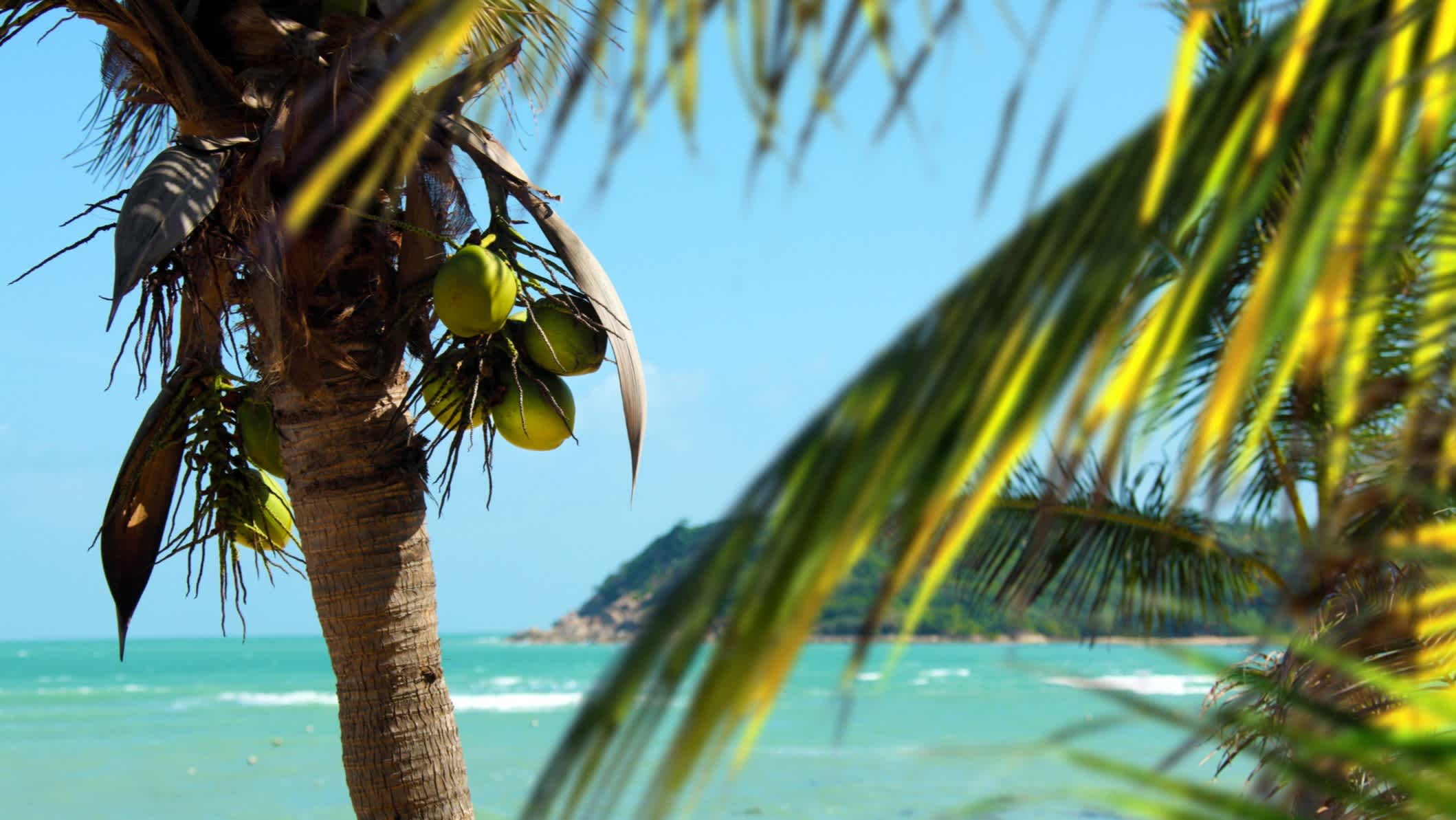 Wunderschöne tropische Insellandschaft mit Palme an sonnigen Tagen 