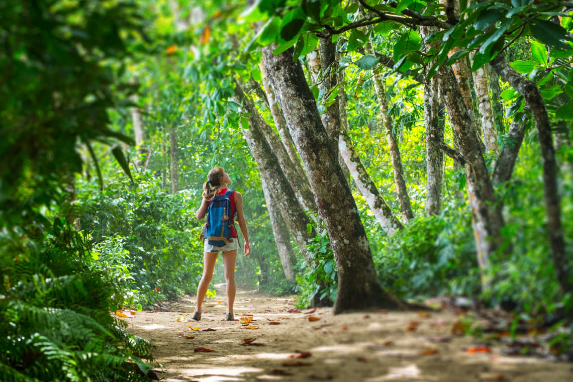 Randonneuse en plein parcours dans une forêts tropicales pendant un voyage au Costa Rica.