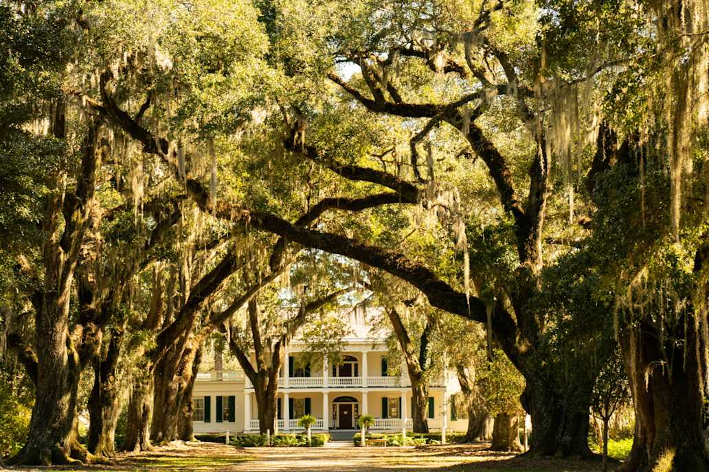 Beste Reisezeit für Louisiana Klima, Wetter & Tipps Tourlane