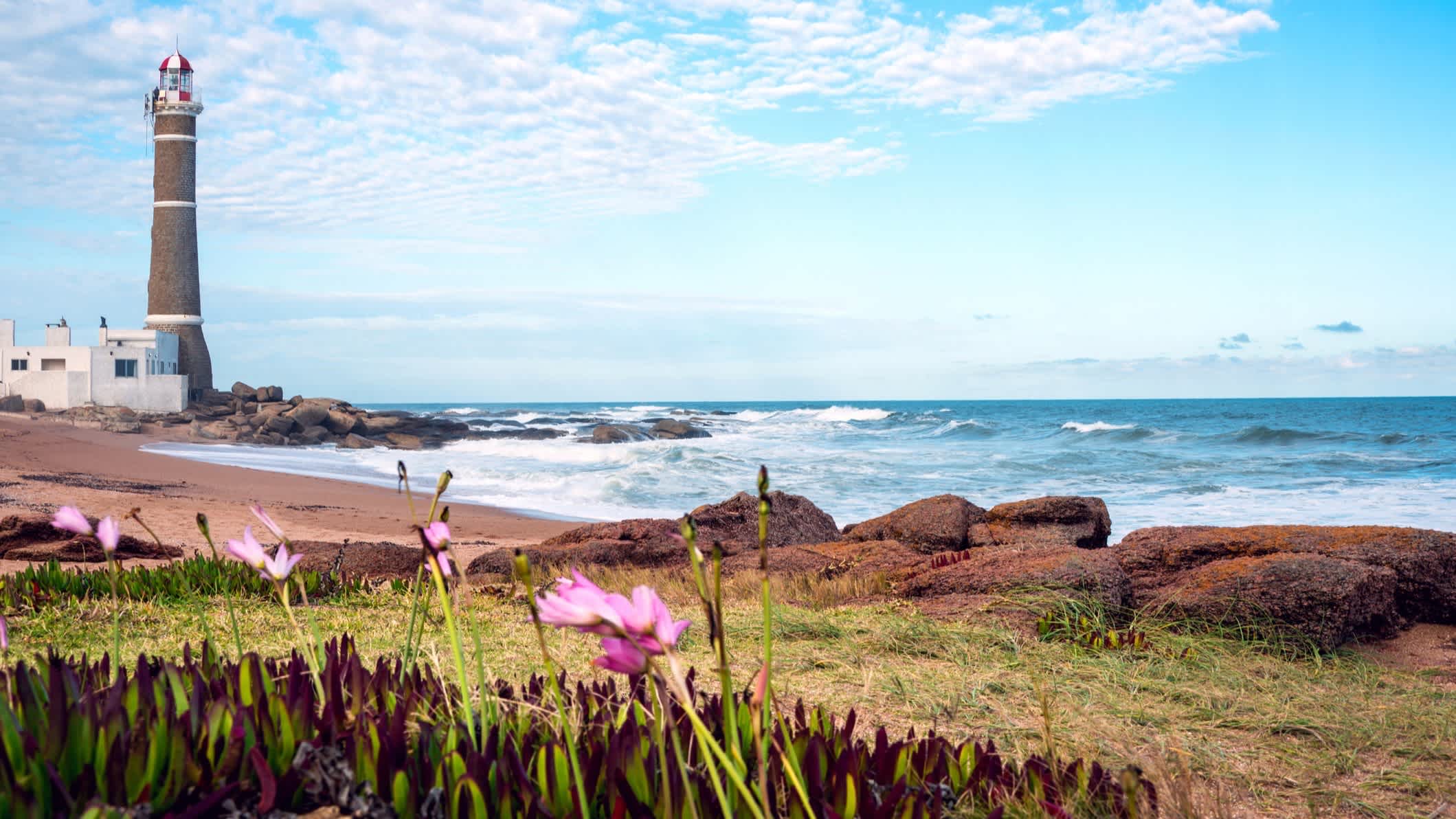 Leuchtturm in José Ignacio, José Ignacio, Uruguay mit Rosinen Blumen im Bild sowie Ausblick auf das Meer.