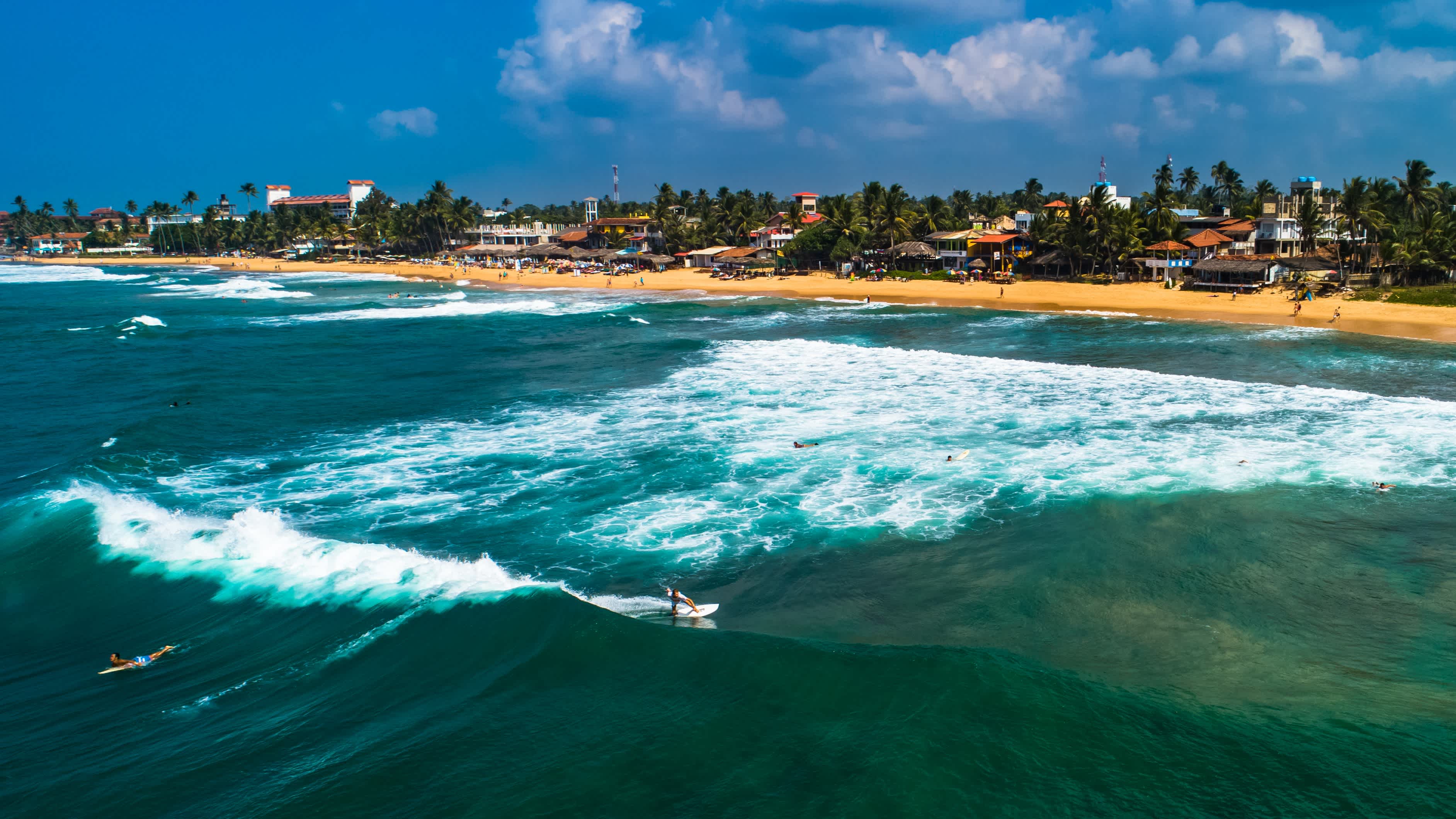 Vue aérienne depuis la mer de la plage de surf tropicale entourée de palmiers et de sable blanc poudreux à Arugam Bay au Sri Lanka