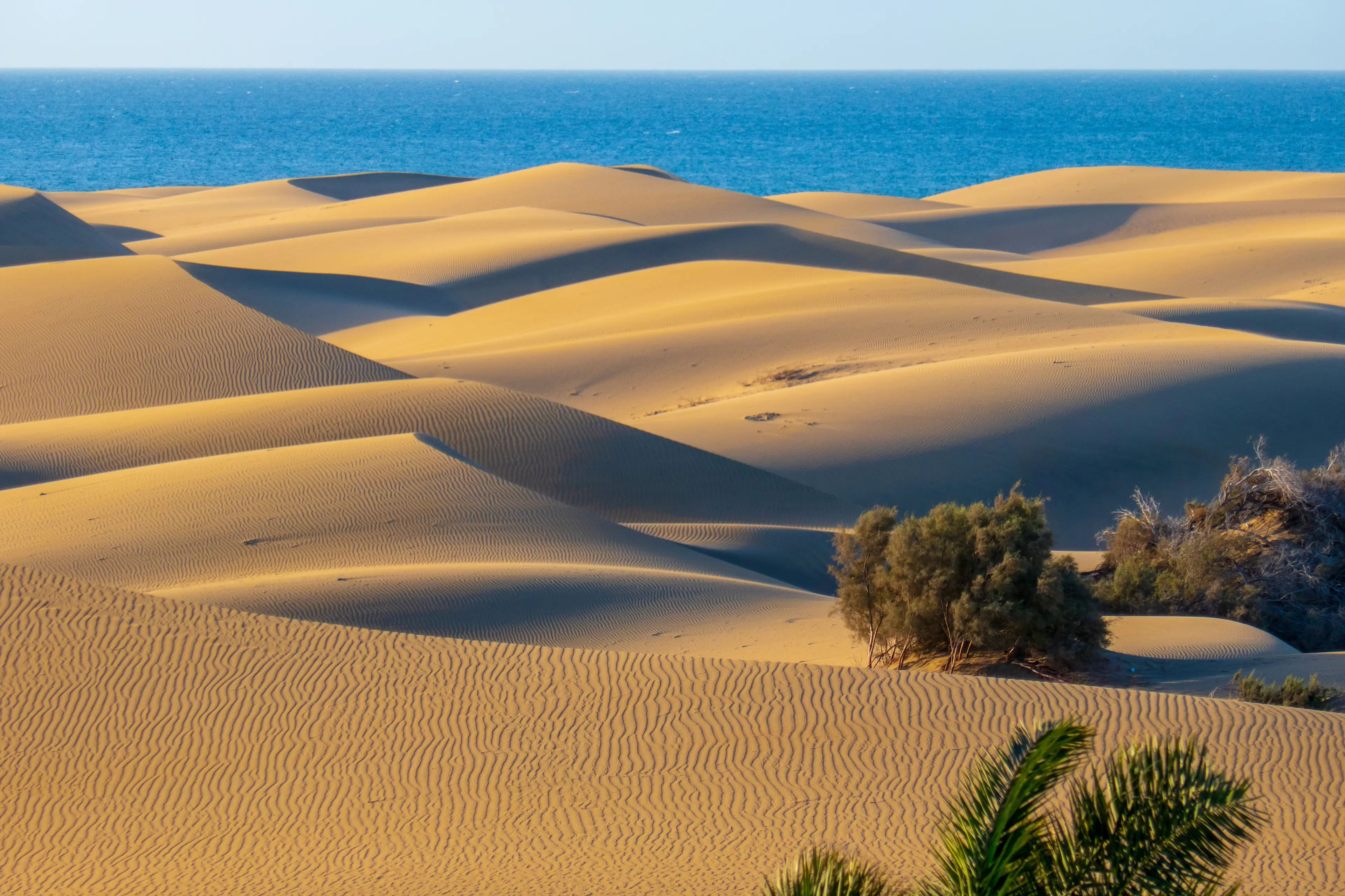 Dünen von Maspalomas, Gran Canaria

