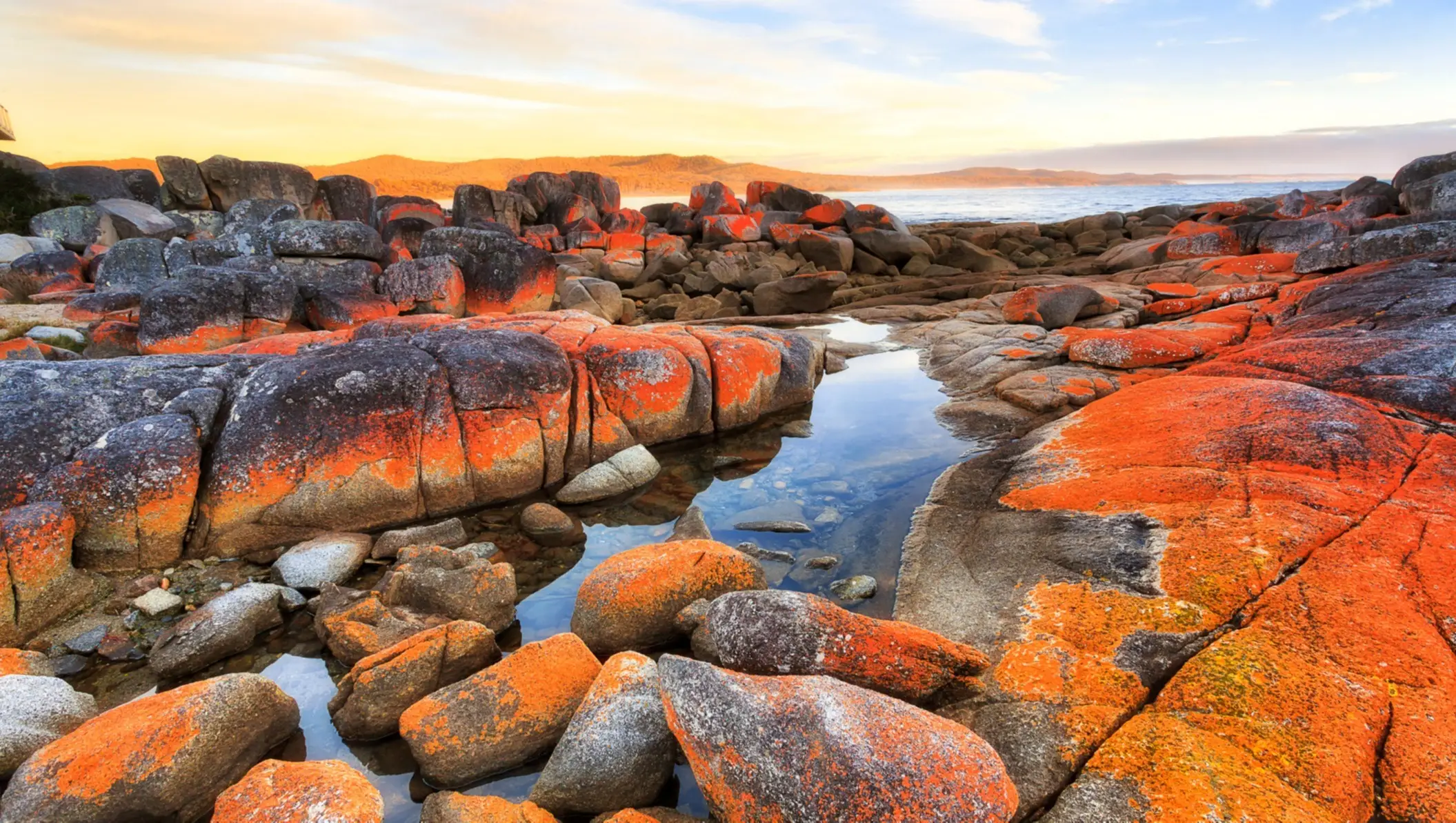 Bay of Fires, Tasmanie, Australie Rochers rougeâtres de la Bay of Fires