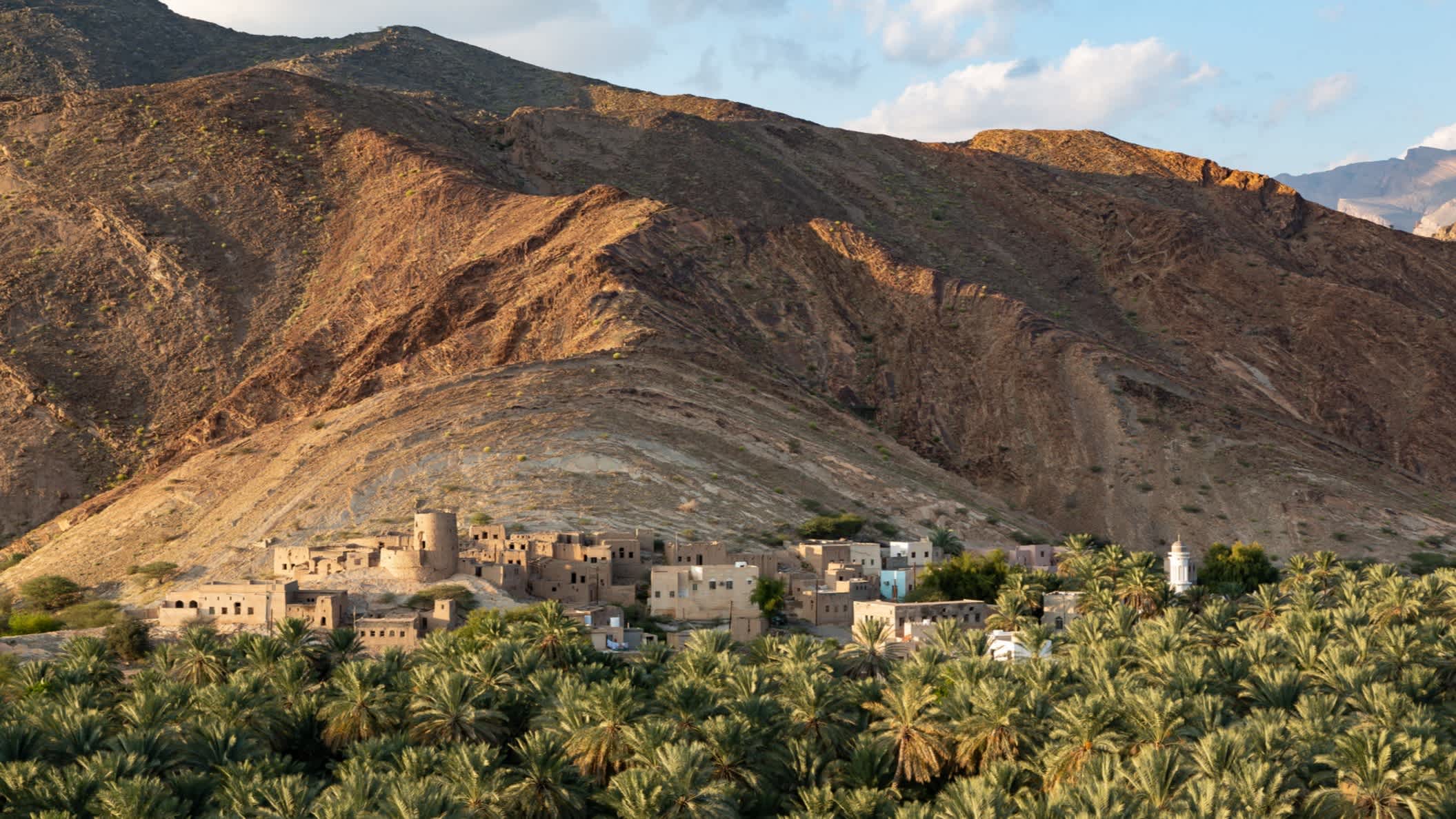 Blick auf Ruinen des verlassenen Birkat al Mawz mit Dattelpalmen im Vordergrund, Oman.