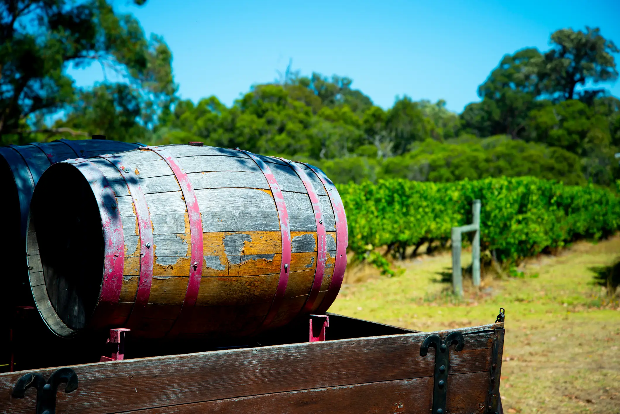 Nahaufnahme eines alten Weinfasses auf einem Holzwagen vor einem üppigen Weinberg. Australien