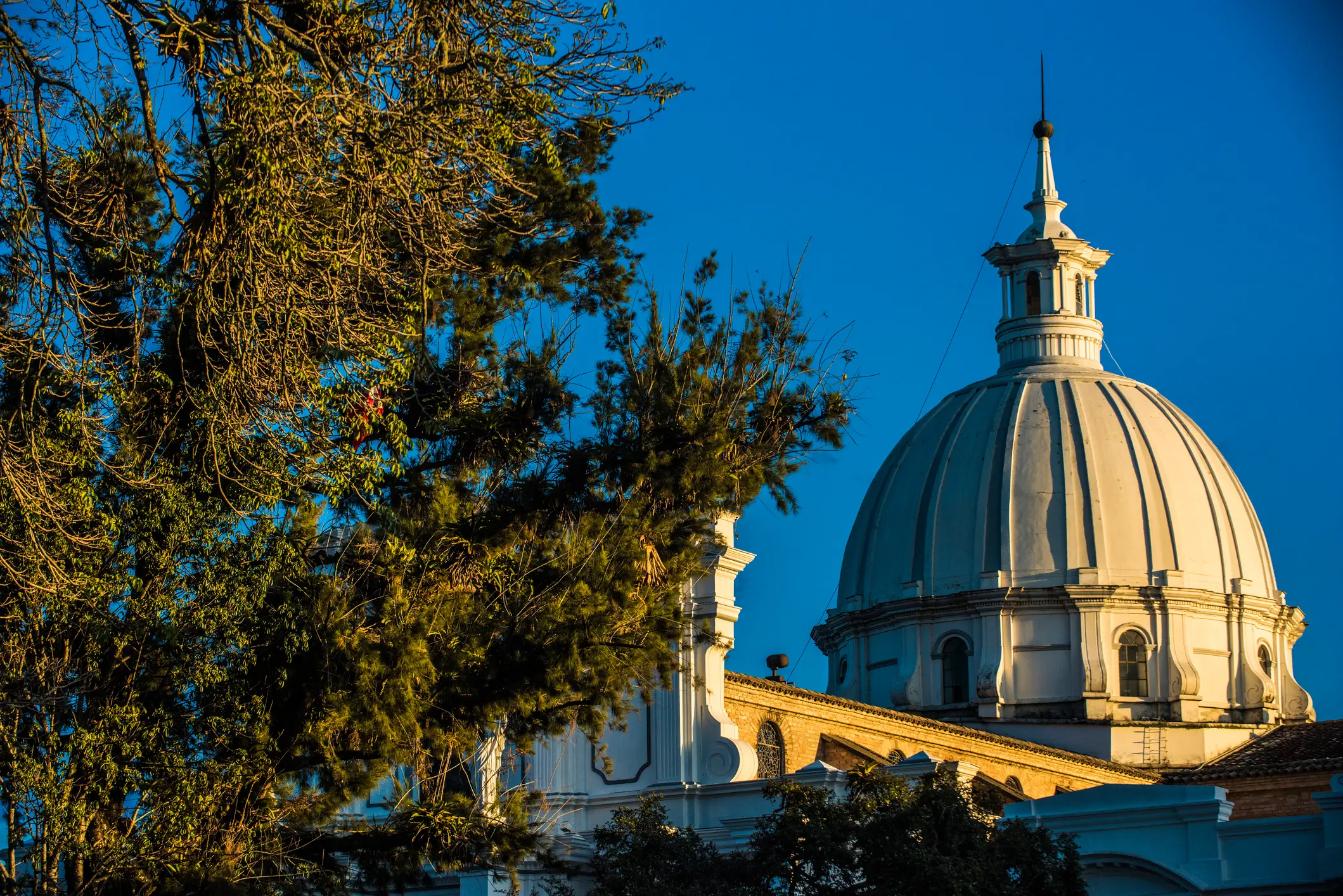 Kathedrale, Popayan, Kolumbien Blick auf die Kuppel der Kathedrale und die Bäume drumherum, Popayan, Kolumbien
