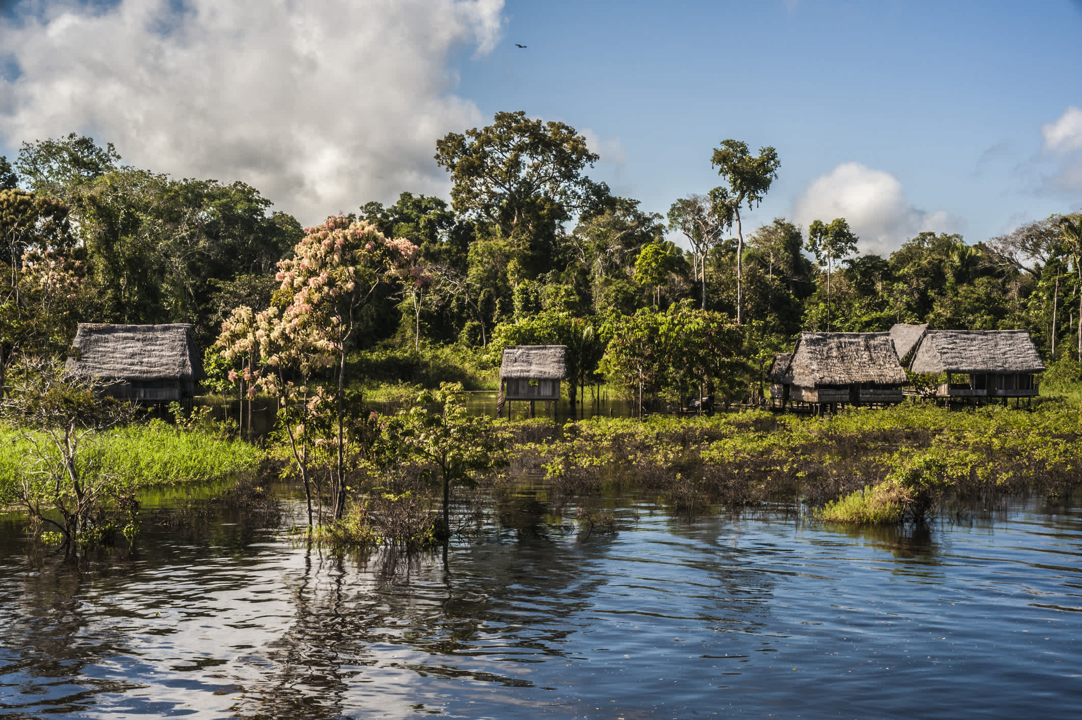 Die Landschaft von Pacaya Samiria Nationalpark mit den Maranon Fluß in peruanischen Amazonas.