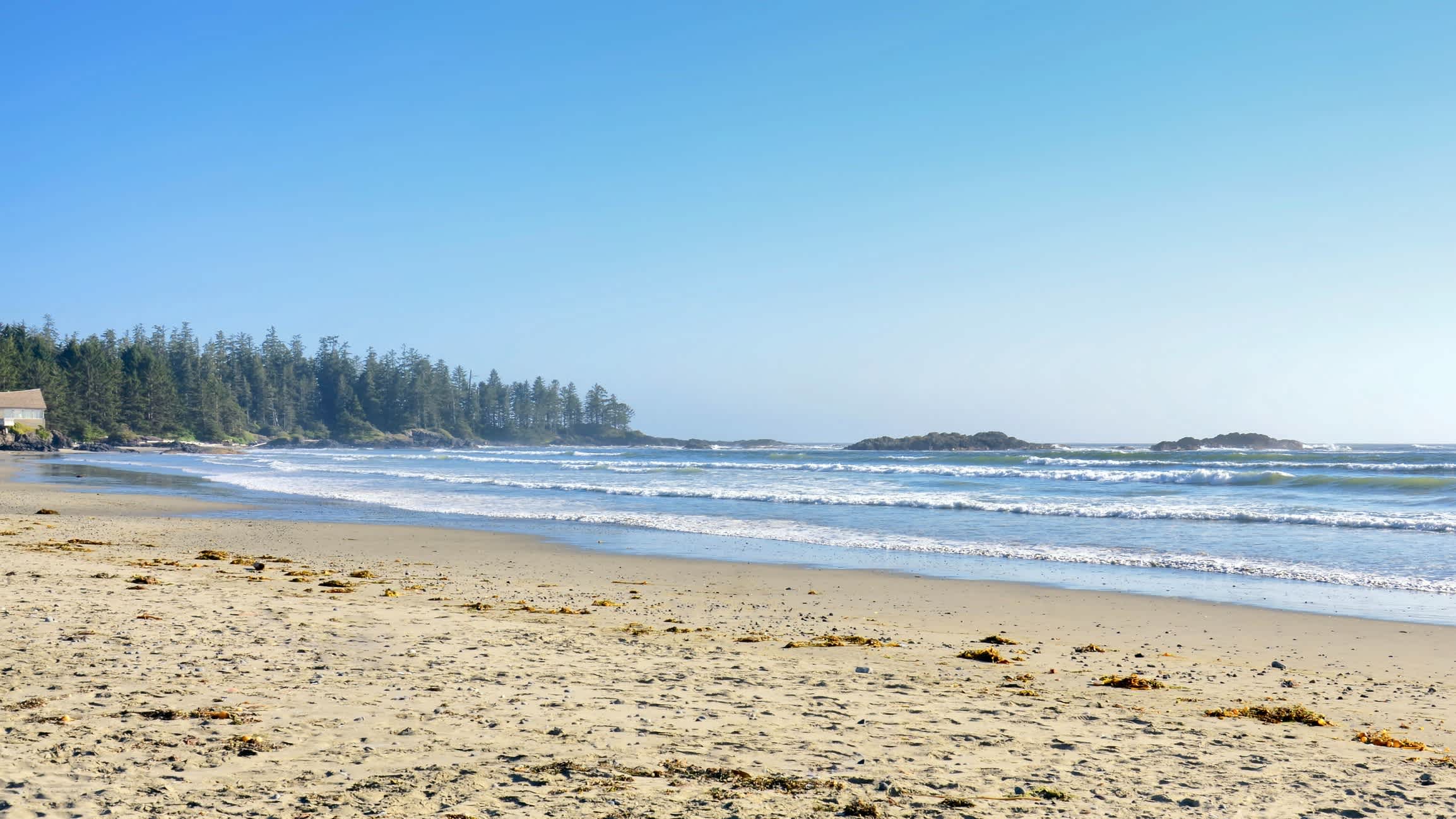 Der Strand Long Beach im Rim National Park in Kanada bei klarem Himmel und mit seichten Wellen sowie Wald im Hintergrund. 