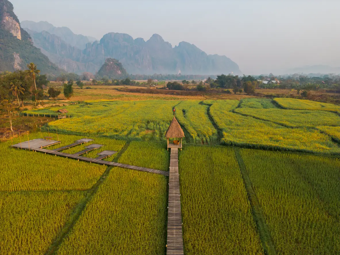 Laos, Reisfelder Luftaufnahme von Reisfeldern mit Bergen im Hintergrund