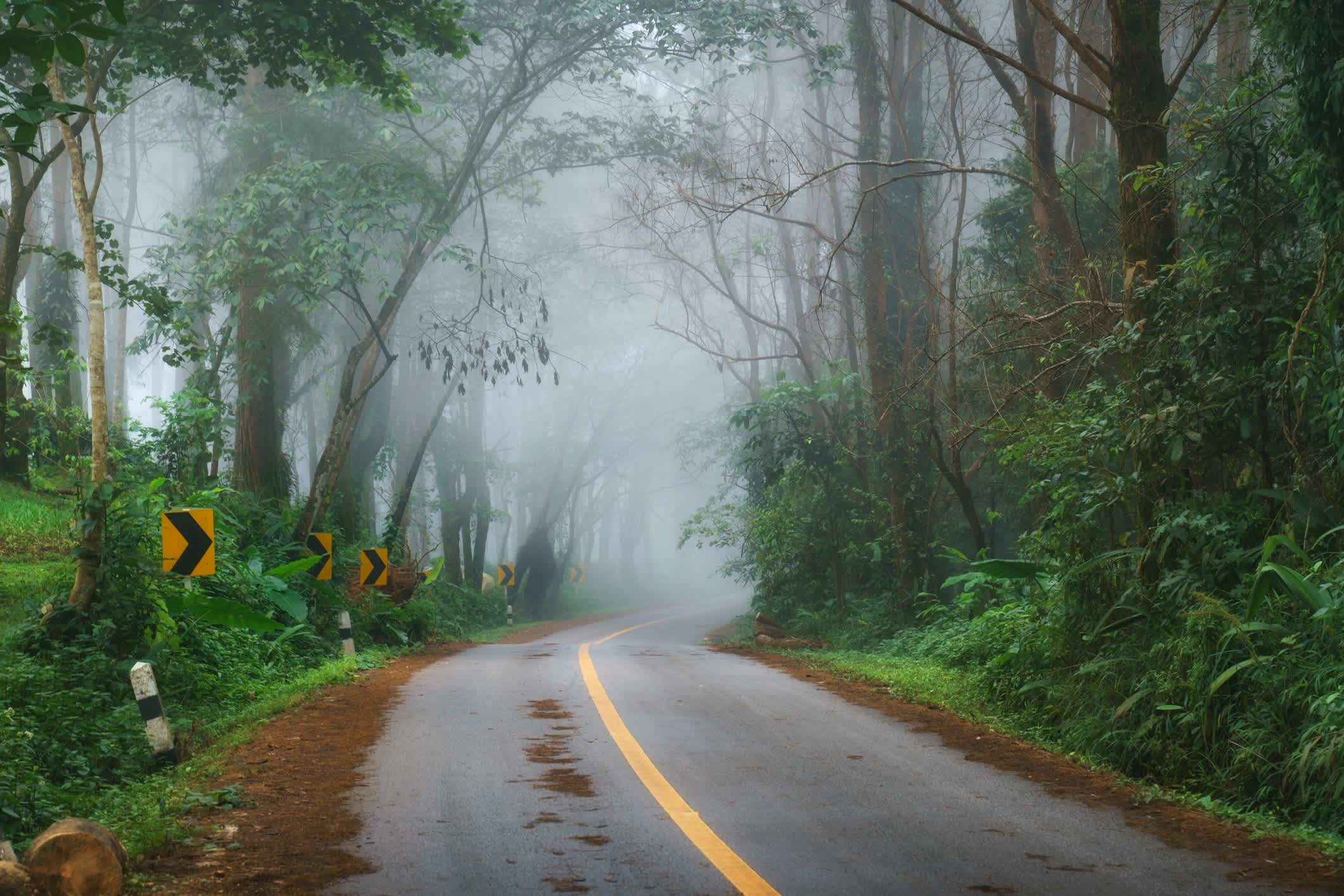 Belle route matinale dans le brouillard près de Doi Pha Hee, Chiang Rai, Thaïlande.
