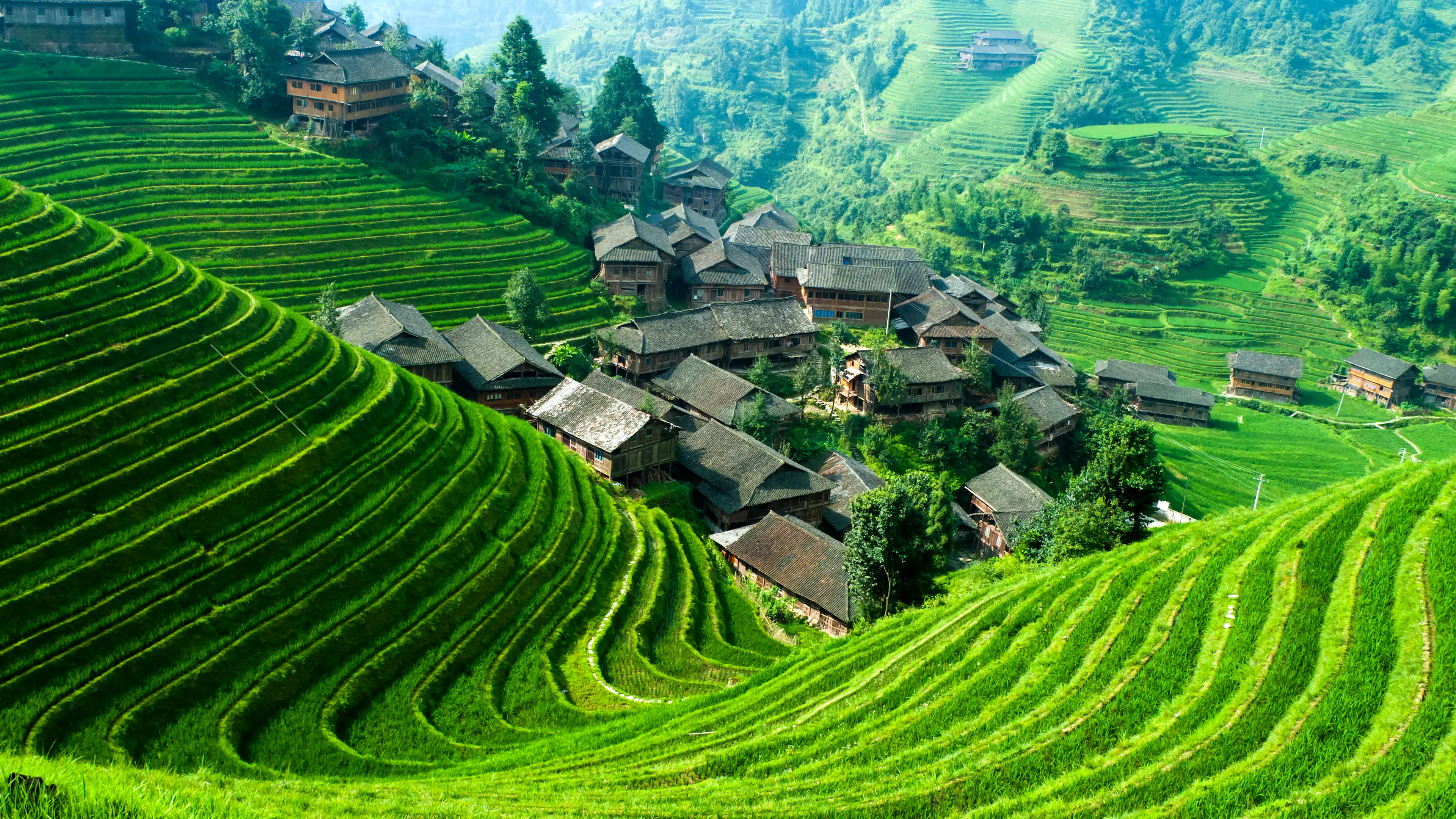Longji Reisterrassen, China