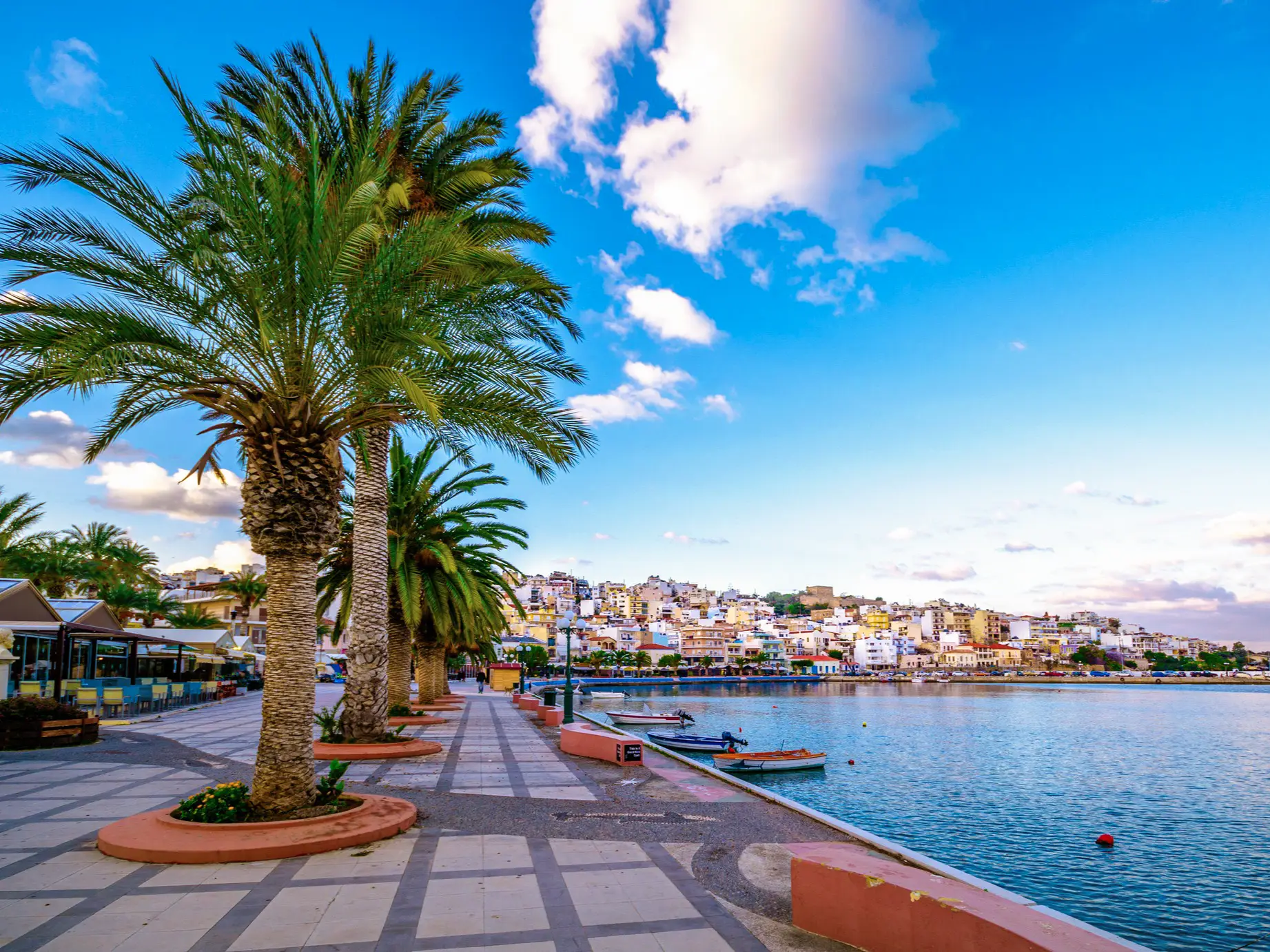 Grèce, Crète, Sitia, port Promenade du port bordée de palmiers dans le village de Sitia