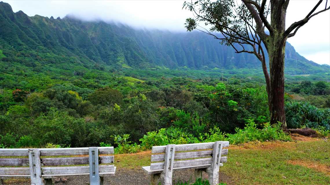 Blick auf den Eingang und die Ko'olau-Berge auf Hawaii, USA, wenn man durch den Ho'omaluhia Botanical Park fährt