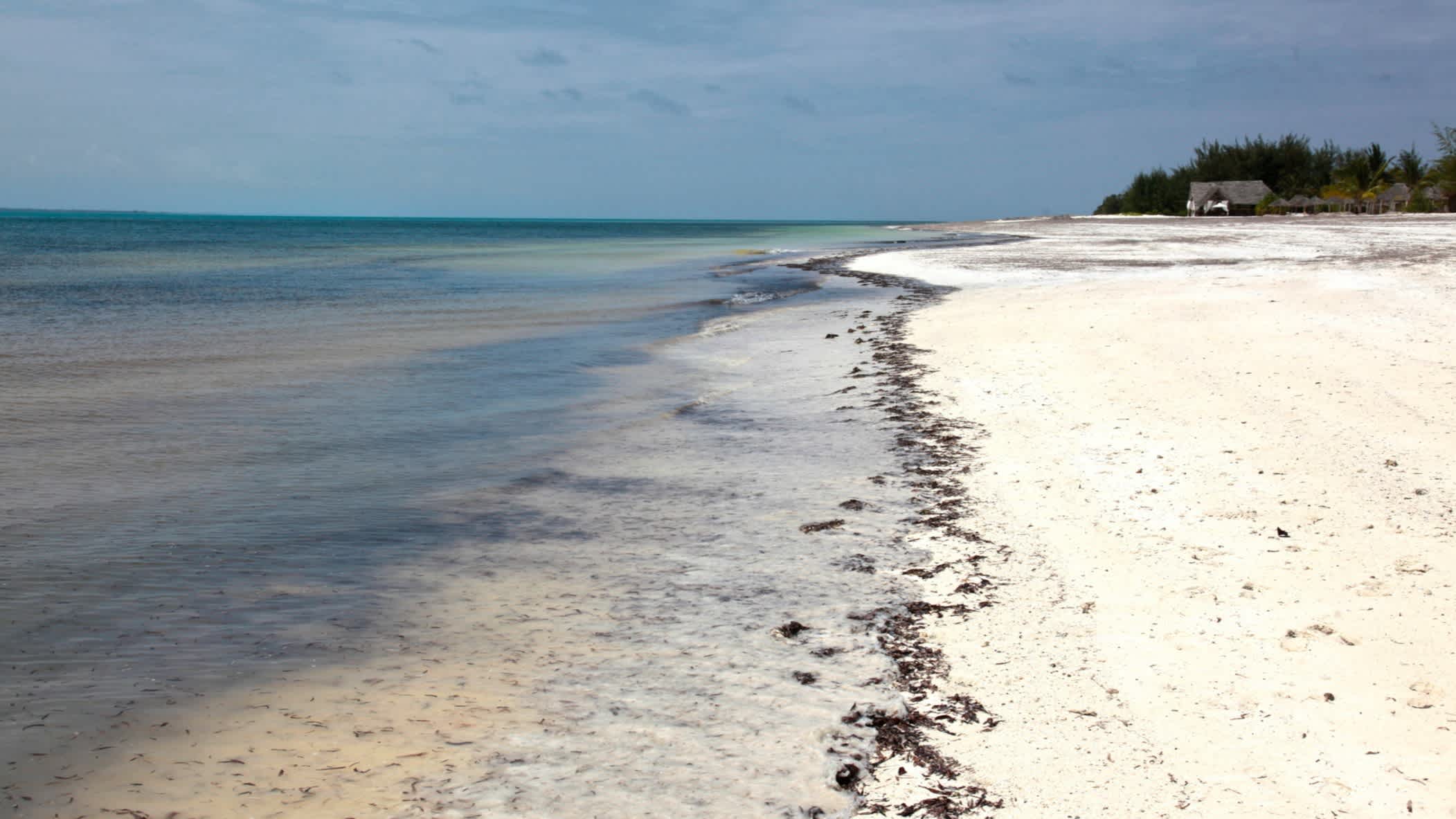 Blick auf den weißen, unberührten Sandstrand Michamvi Kae und das seichte Meer Sansibars.
