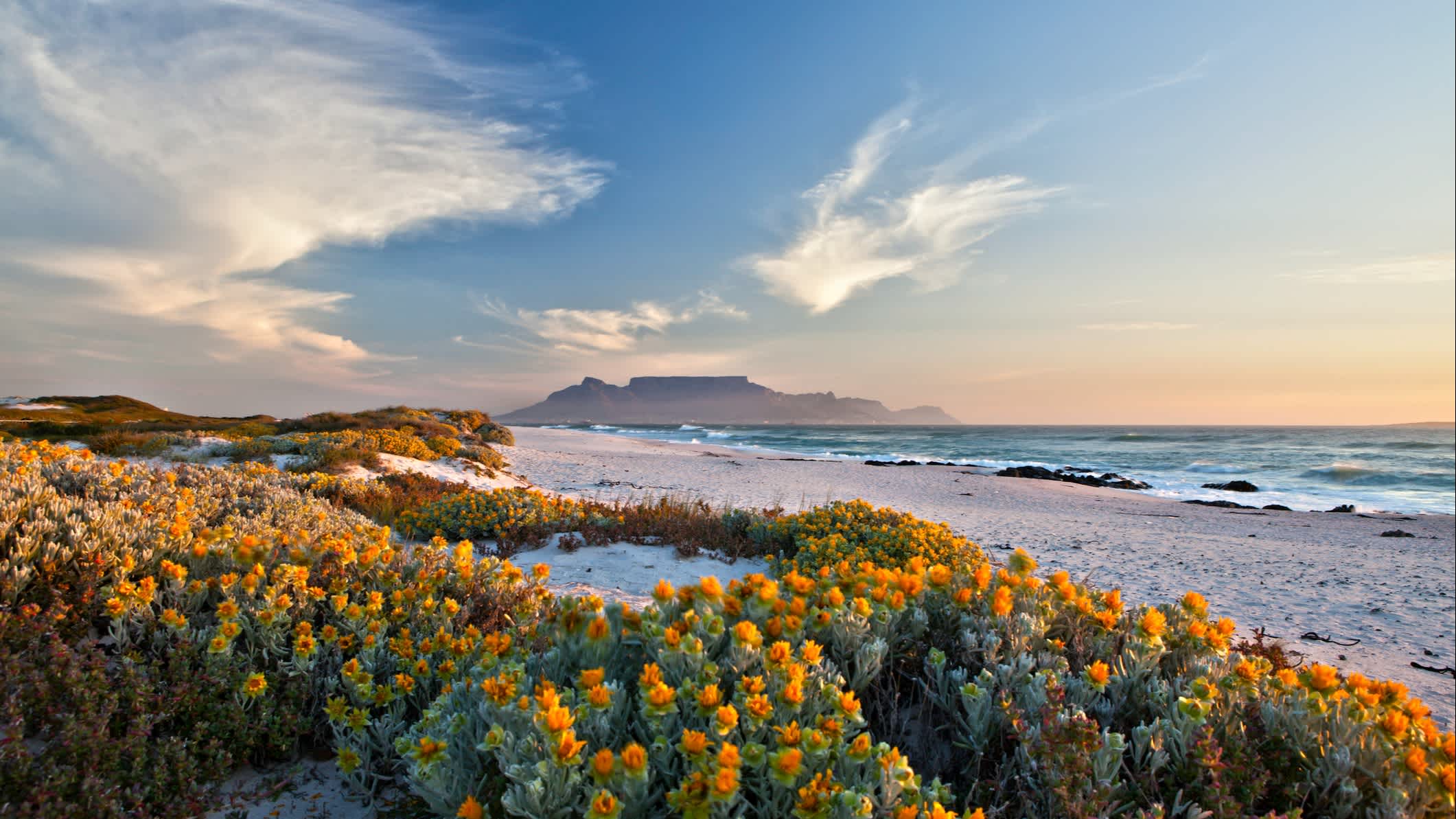 Un paysage de rêve sur la côte avec la montagne de la Table en Afrique du Sud en arrière-plan