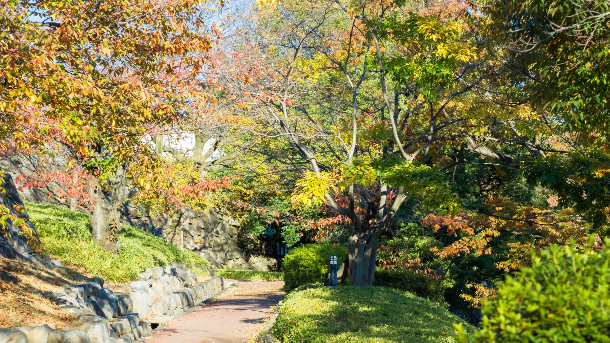  Weg durch den Park der Fukuoka Castle Ruinen 