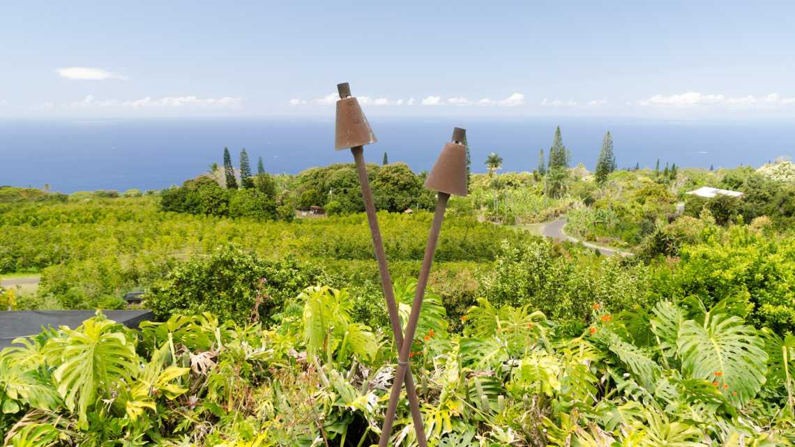 Grüner Gürtel von Kaffeeplantagen auf den Hügeln über Kona, Big Island, Hawaii