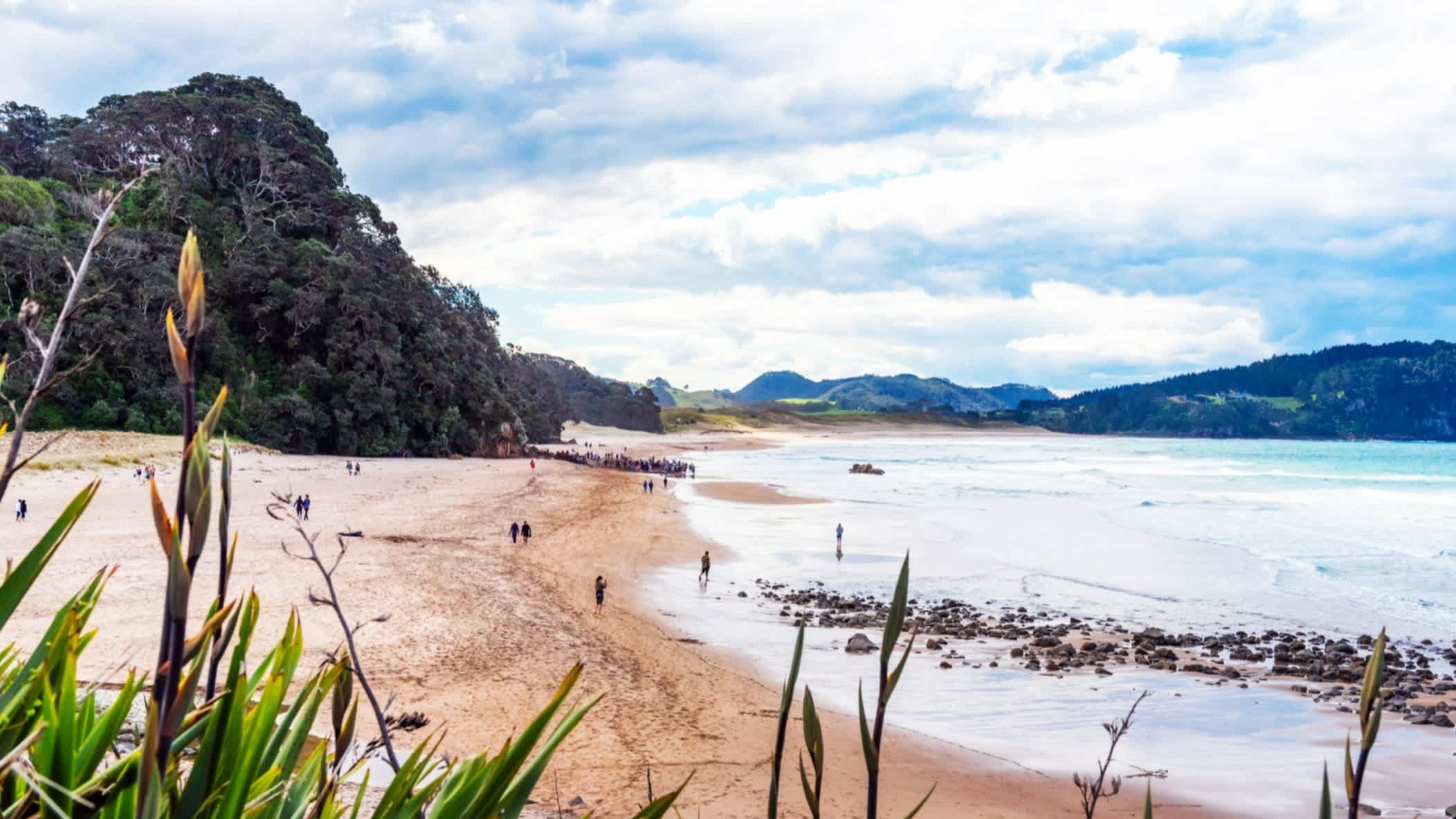 View of Hot Water Beach at low tide with its hot water thermal pool, Coromandel, New Zealand.